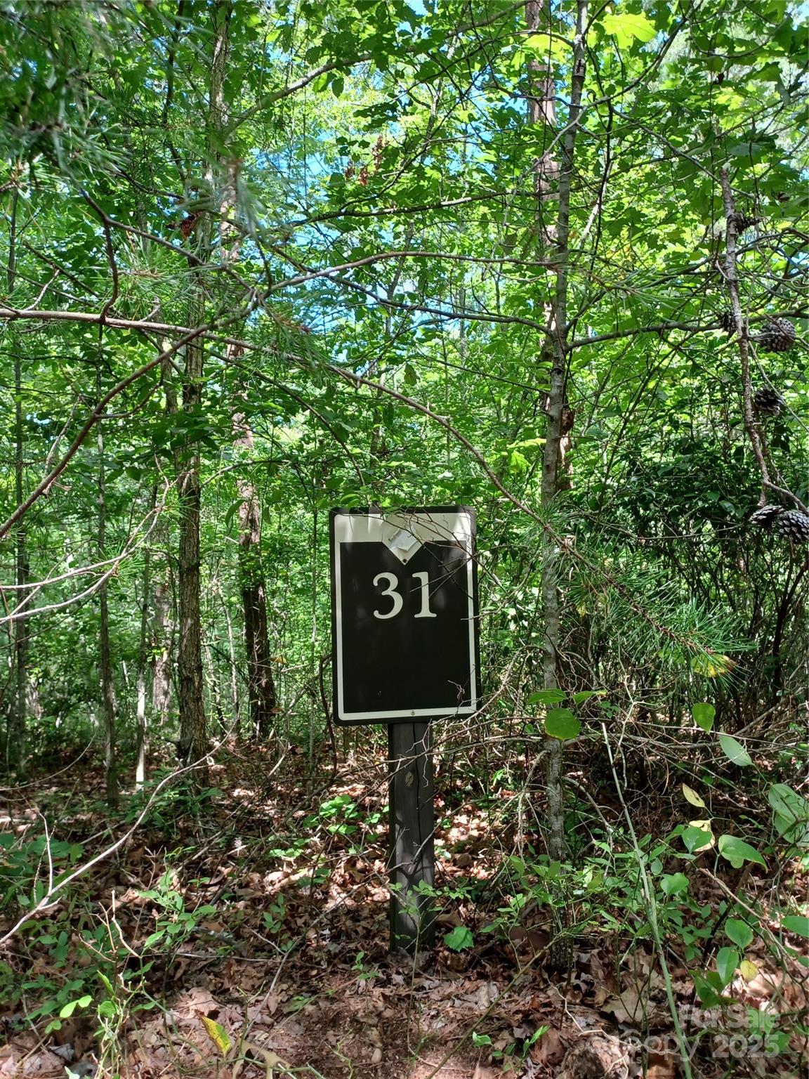 Blackberry Creek - Land