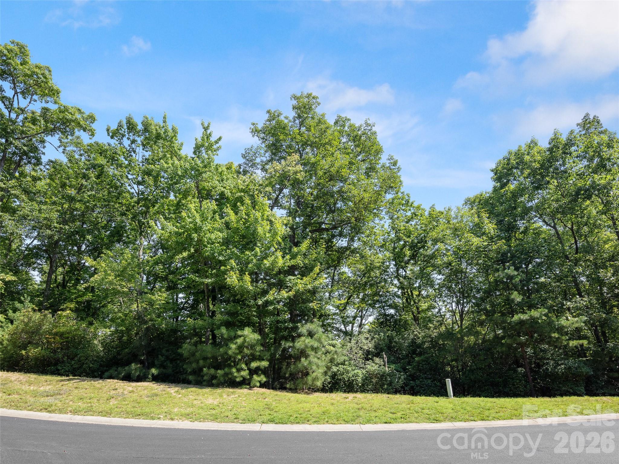 Private, quiet wooded lot with winter views in the exclusive 300 acre gated community of The Homestead at Mills River. Underground utilities and natural gas available. Priced well below tax value and conveniently located between Asheville and Hendersonville, just 7 miles from the Asheville Airport. Build your dream home and enjoy nearby breweries, shopping, hiking trails, mountain biking, and fishing in the Mills River area and Pisgah National Forest. See homesteadmillsriver.com for additional community information. Motivated seller!