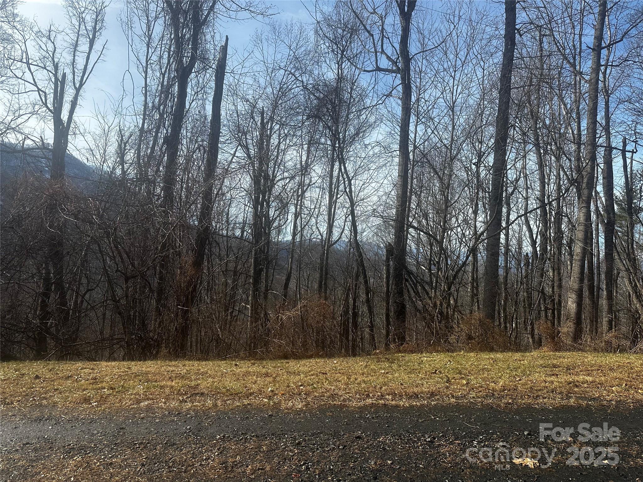 Dreaming of building your dream mountain getaway on a private 6 acres with incredible views? This 6 acres is nestled in a small subdivision with few homes nearby, but super private and easily accessible! it is ready for you to start your build with driveway in place! This quaint small subdivision is the perfect escape location for your summer getaways or live year round. Once you see the view your stress will just melt away and you will feel right at home.