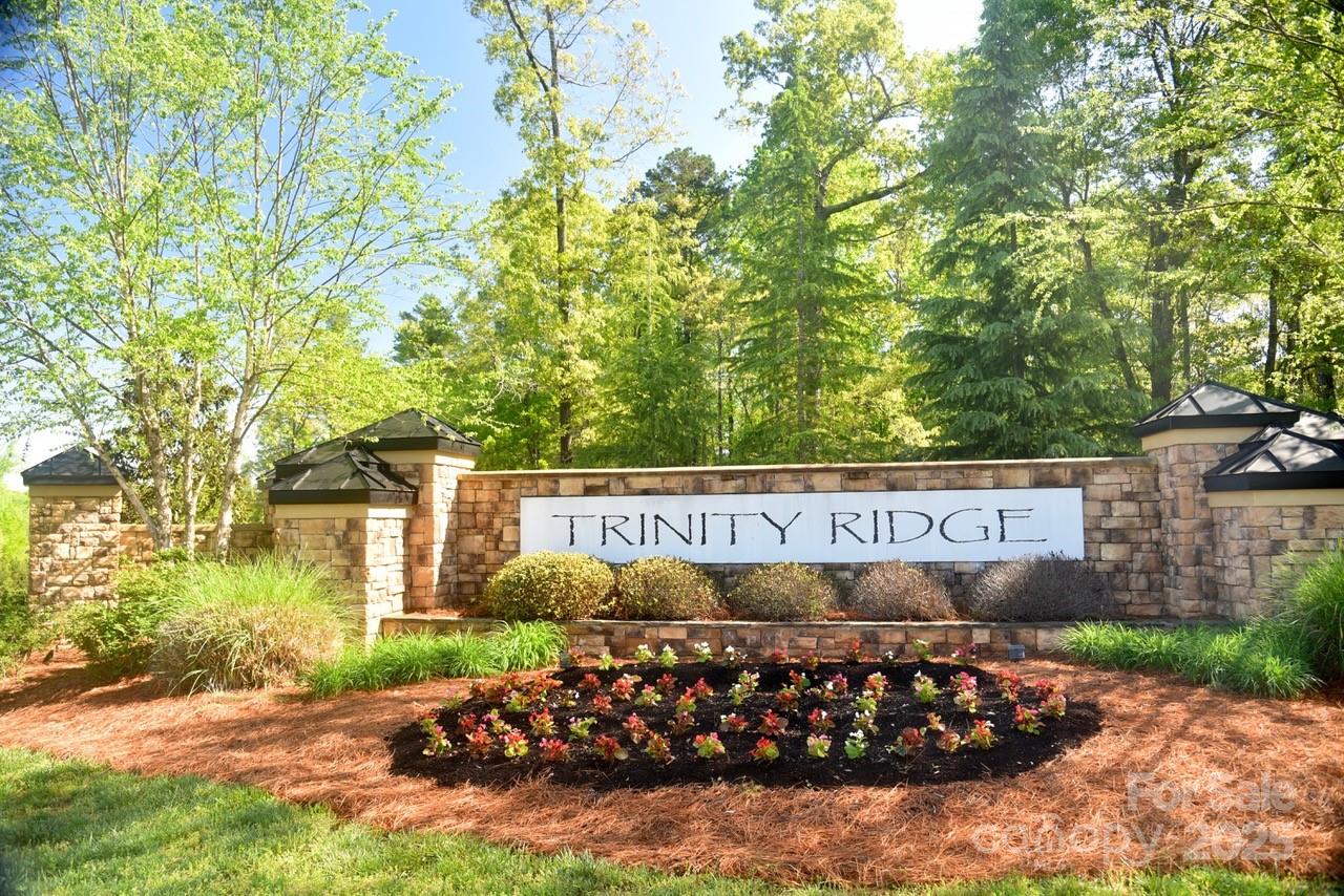 Trinity Ridge - Residential