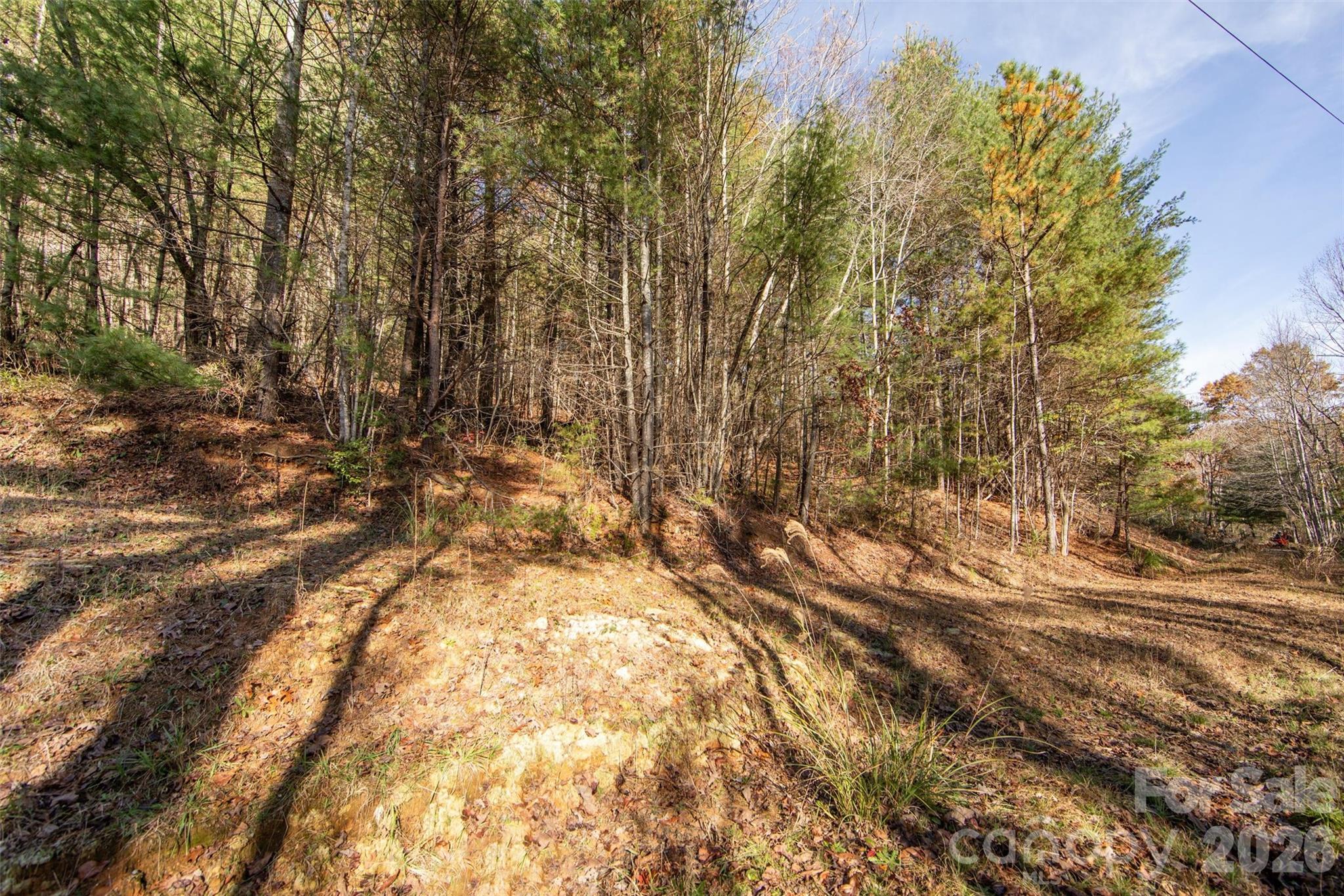 Winfield Cove - Land