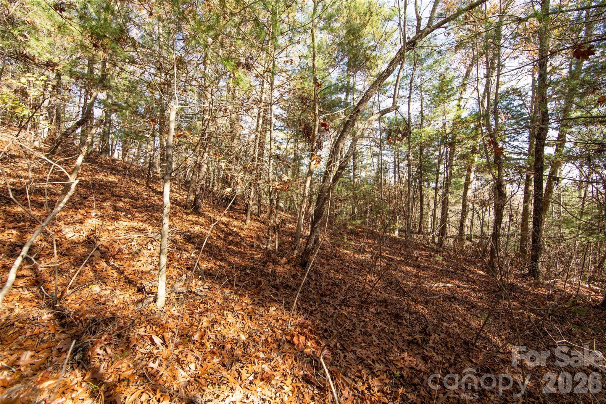 Winfield Cove - Land