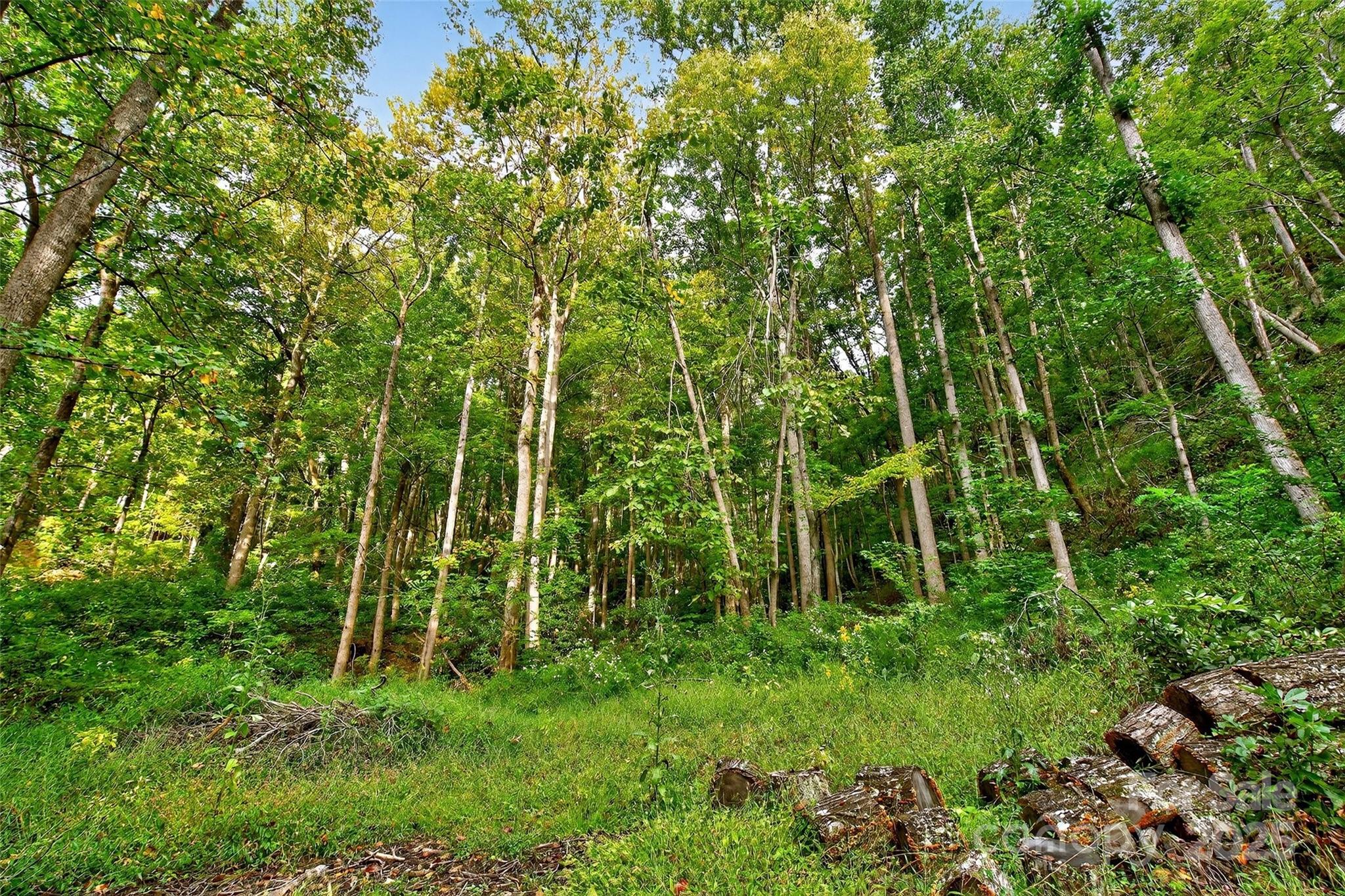 Linville Falls Mountain Club and Preserve - Land