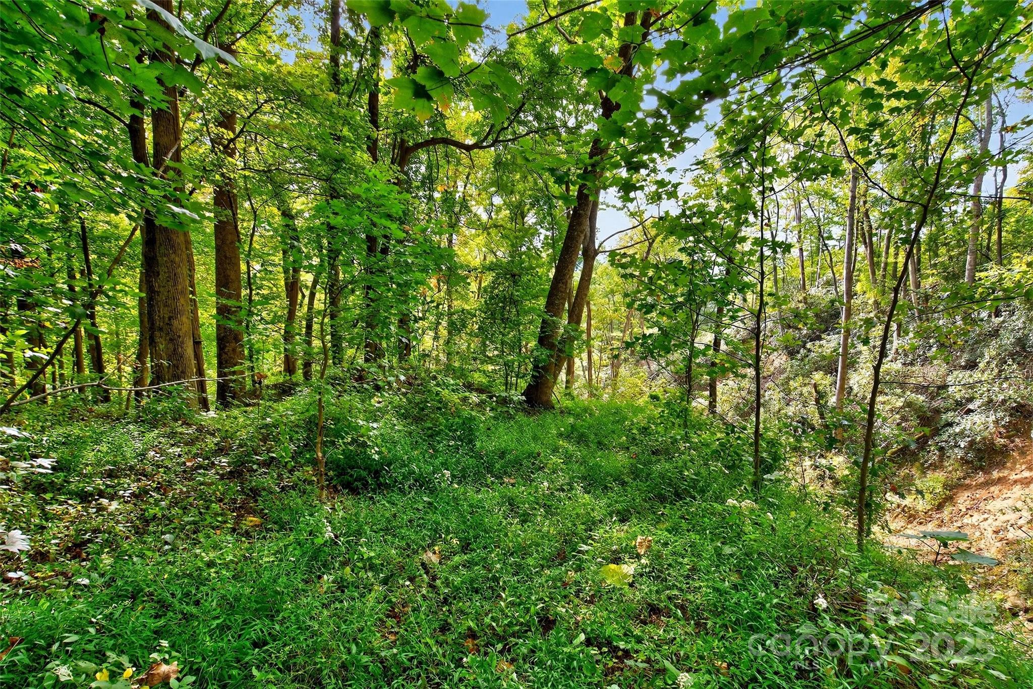 Linville Falls Mountain Club and Preserve - Land