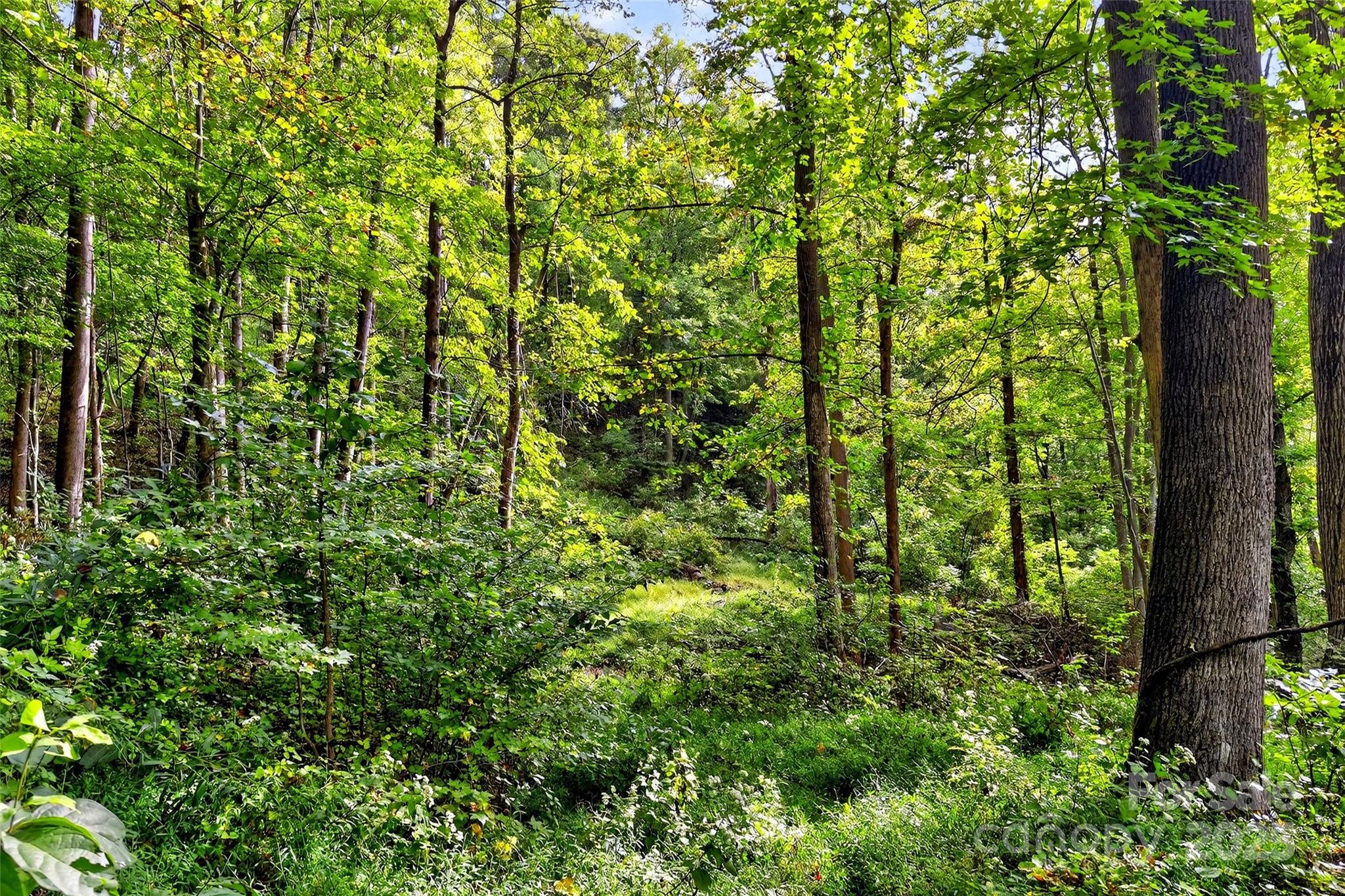 Linville Falls Mountain Club and Preserve - Land