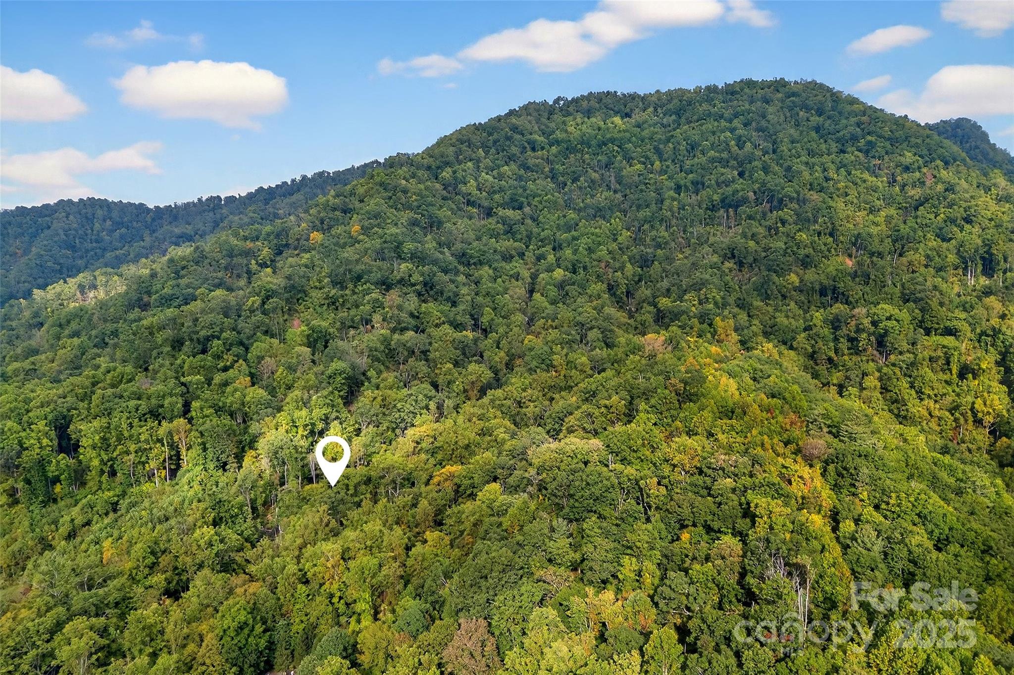 Linville Falls Mountain Club and Preserve - Land