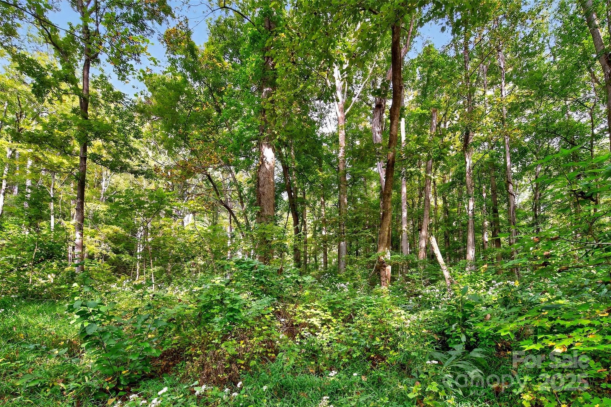 Linville Falls Mountain Club and Preserve - Land