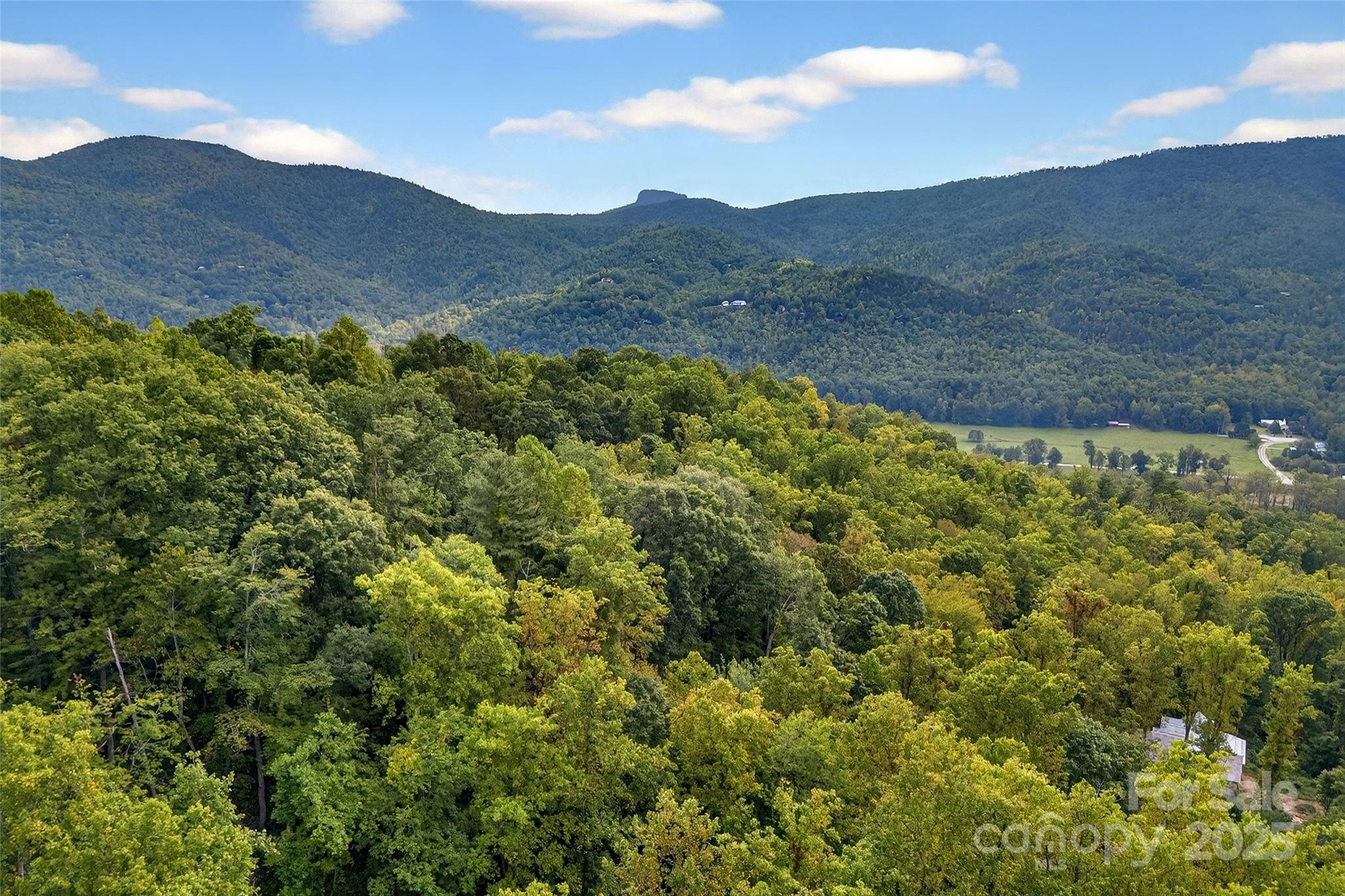 Linville Falls Mountain Club and Preserve - Land