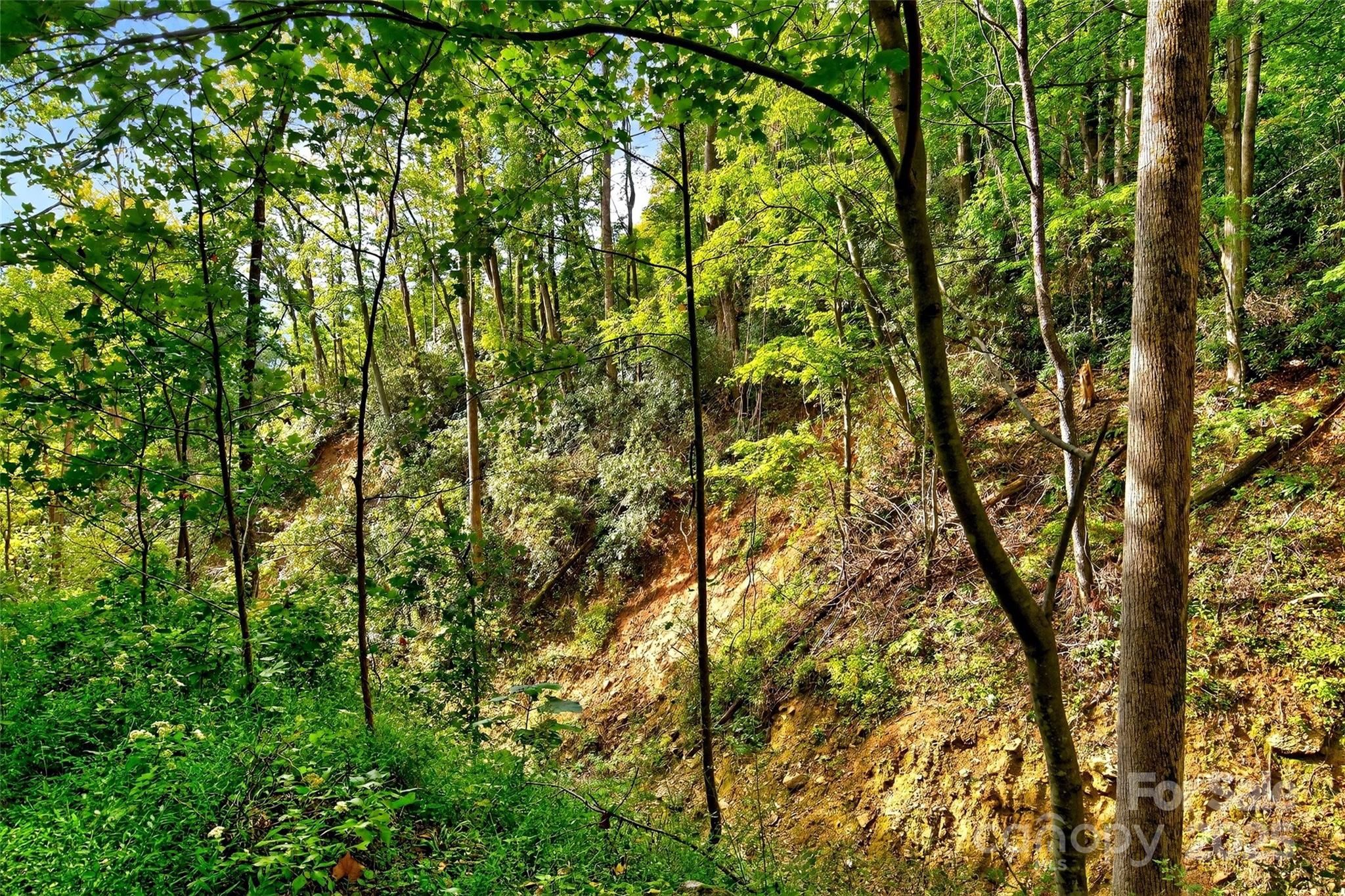 Linville Falls Mountain Club and Preserve - Land
