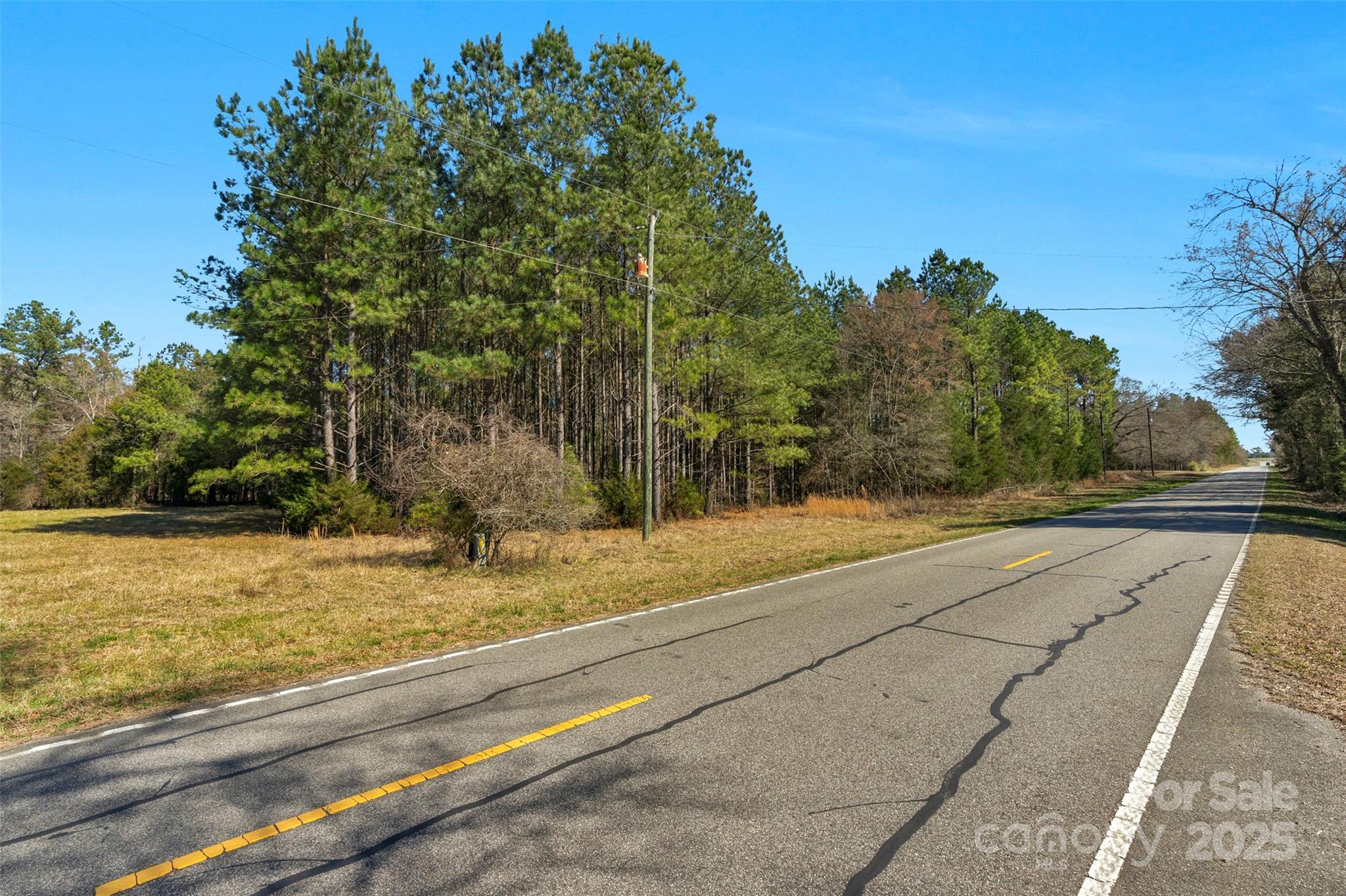 Amazing opportunity for an expansive 13.26 acre lot in the countryside of Chester County. The options are endless for this large parcel: build your dream home for a large estate / family compound, you can recreate, have a long term investment, farm, garden, hunt, all of the above! This flat lot is organized in mature planted pine with hardwoods and mixed timber on the boundary lines. The diversity in the timber brings a quality landscape, creates privacy for a future homestead, and brings in the diverse amount of wildlife. 

Rural lifestyle with being close to modern amenities. Gas station, grocery store, all right down the street. Right next door to Chester Golf Club!! 30 Min Away from Fort Mill. 40-45 from Charlotte. Close access to I-77 and HWY 9. 

780' of Road Frontage! There is electricity at the street. The planted pine and size of land creates an option for the Timber/Agriculture use for deferred property taxes.