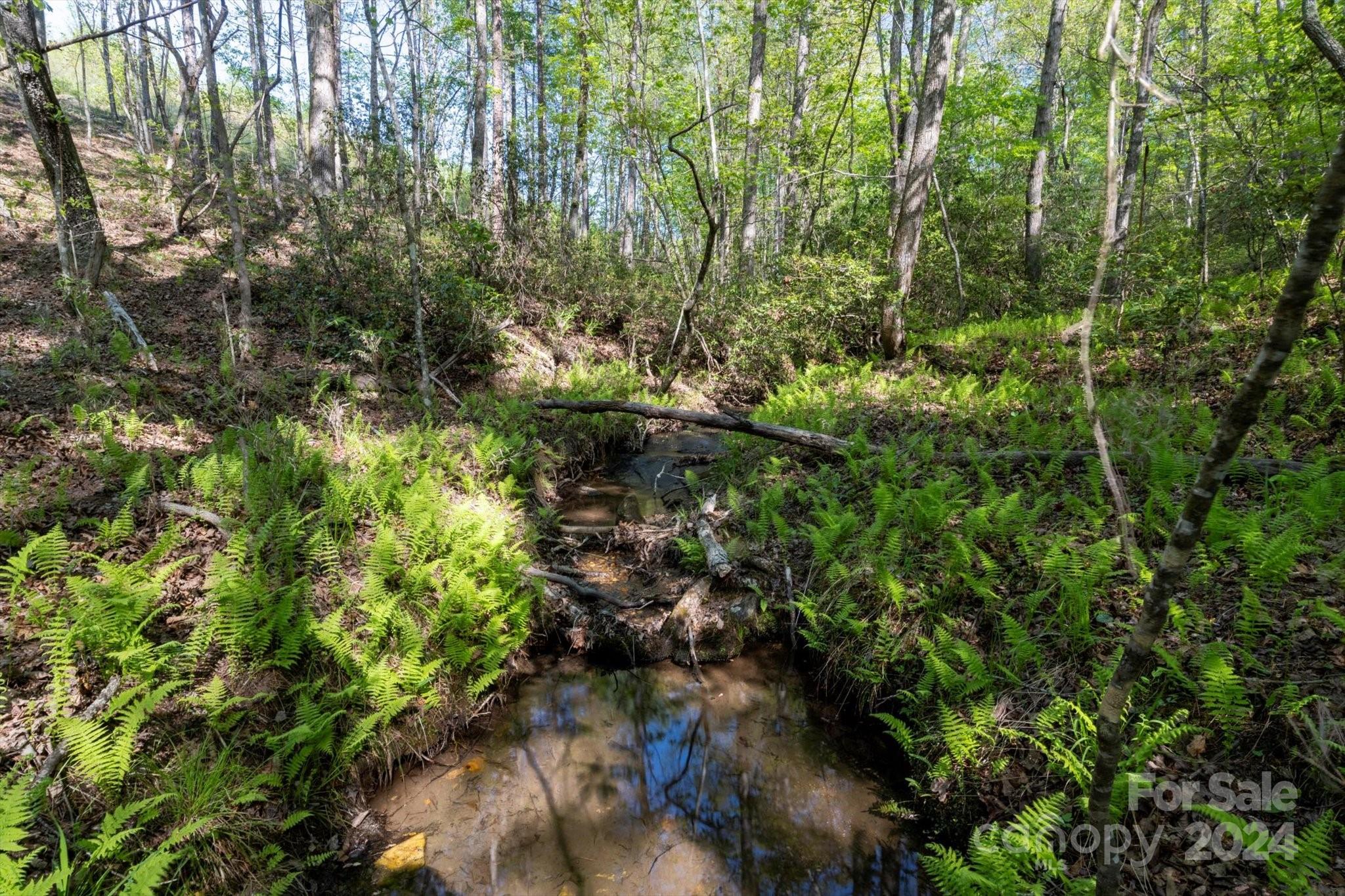 Ole Plantation - Land