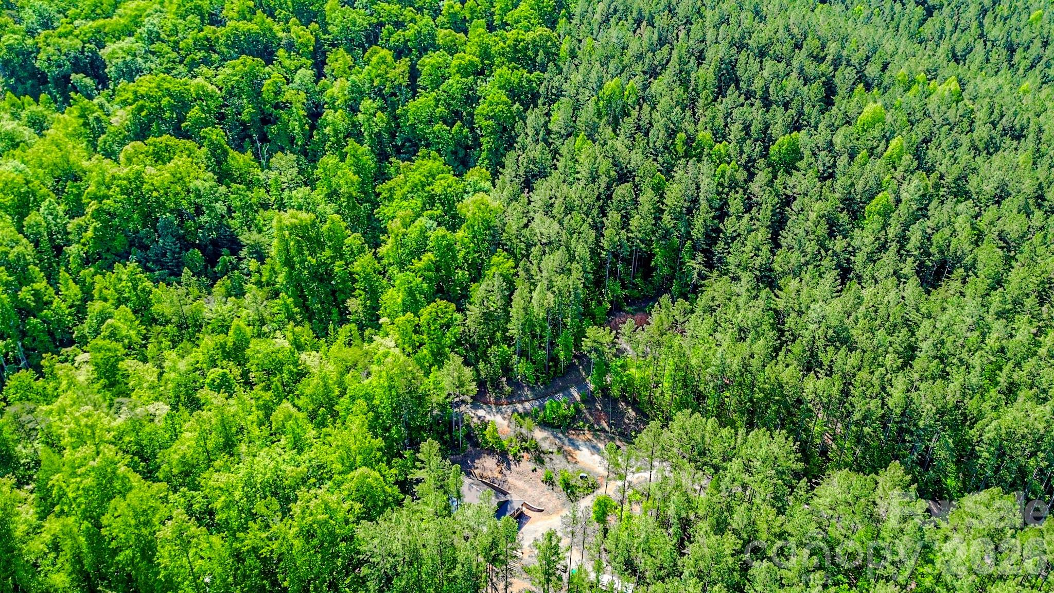 Fork Mountain - Land