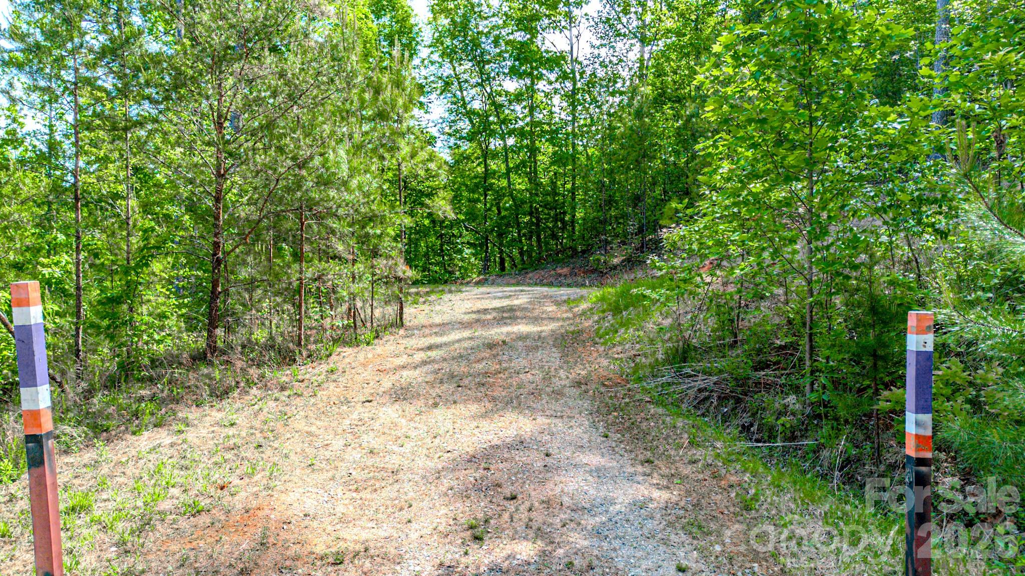 Fork Mountain - Land