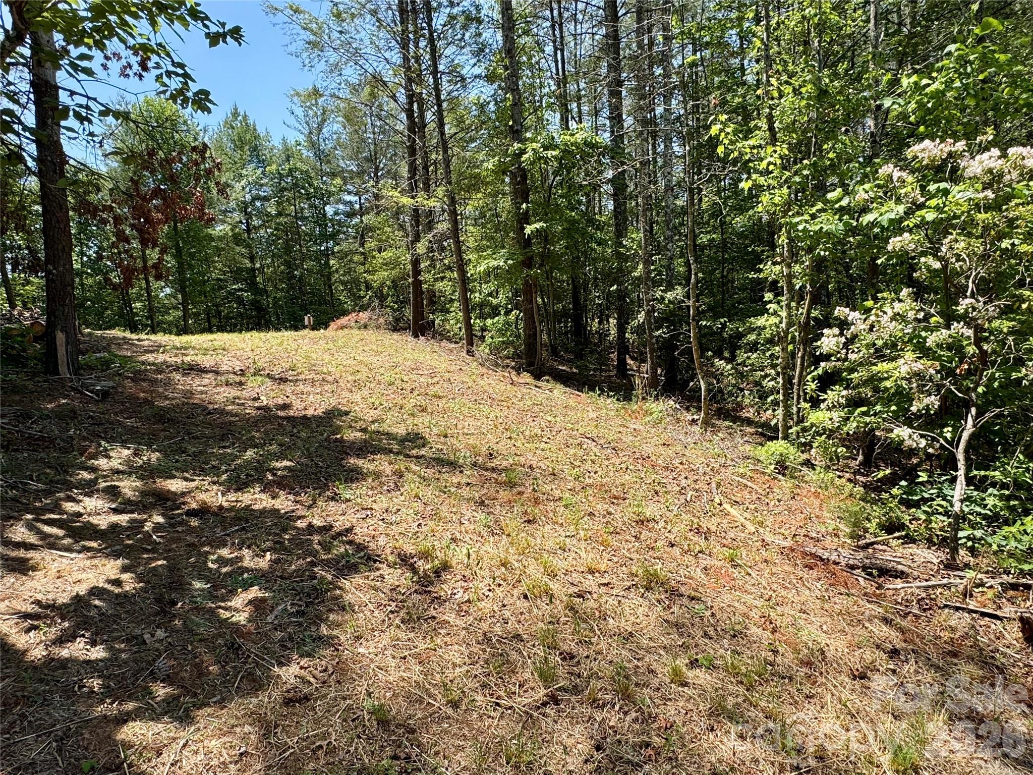 The Coves Mountain River Club - Land