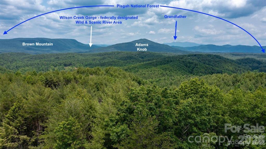 The spectacular view of  iconic Grandfather Mountain is only one of the Blue Ridge Mountain peaks you'll see when you build your new home on this 10.29 acre home site  at The Coves Mountain River Club. The build site is flat and the wooded perimeter maintains privacy. Choose your own floor plan and builder; builder and plan must be approved by the ARB. Builder and lender contacts are available. Minimum home size is 1,500 sq ft (can be on 2 levels, so a 750 sq ft footprint will work if both levels are finished). Build your horses dream home too - this property has room for pasture and barn. *** *** The Coves Mountain River Club is the South’s premiere Outdoor Luxury Lifestyle gated community, Occupying 3,200 acres in the Blue Ridge Mountains, there on 5 miles of the Johns River at The Coves. Hike, bike, ride horses, or UTVs on miles of community exclusive trails that weave through your new home. River access areas are ready for you to put in and take out your kayak, wade and fish, picnic, or gather round a stone fire pit. The crown jewel of The Coves is the magnificent post and beam constructed clubhouse, Pisgah Lodge, located on one of the highest peaks. There are a saline pool, fitness center, locker rooms, full kitchen, lending library, pool table, fire pits, and porches and overlooks to take in 360º views of the Blue Ridge Mountains, South Mtns, and Brushy Mtns. ***Garden your private plot at the Community Garden or join your neighbors to care for and harvest the community cooperative vineyard. Pickle-ball and shuffleboard courts, putting green, and a picnic pavilion are located at another Coves's park, Wyatt's Landing. Additional amenities include 2 Equestrian Centers and a Dog Park. A full calendar of events is planned and there are over 30 clubs to join. *** The Coves is also a Firewise USA® Community, a program of the National Fire Protection Association, that helps neighbors organize to reduce wildfire risk, harden homes, and create defensible space by managing vegetation and preparing for wildfires.  500,000 acre Pisgah National Forest and the Wilson Creek Wild and Scenic River Area are across the river and road! *** 1.25 hour drive to Charlotte or Asheville, minutes to Lenoir, Blowing Rock, Morganton, and the Blue Ridge Parkway.