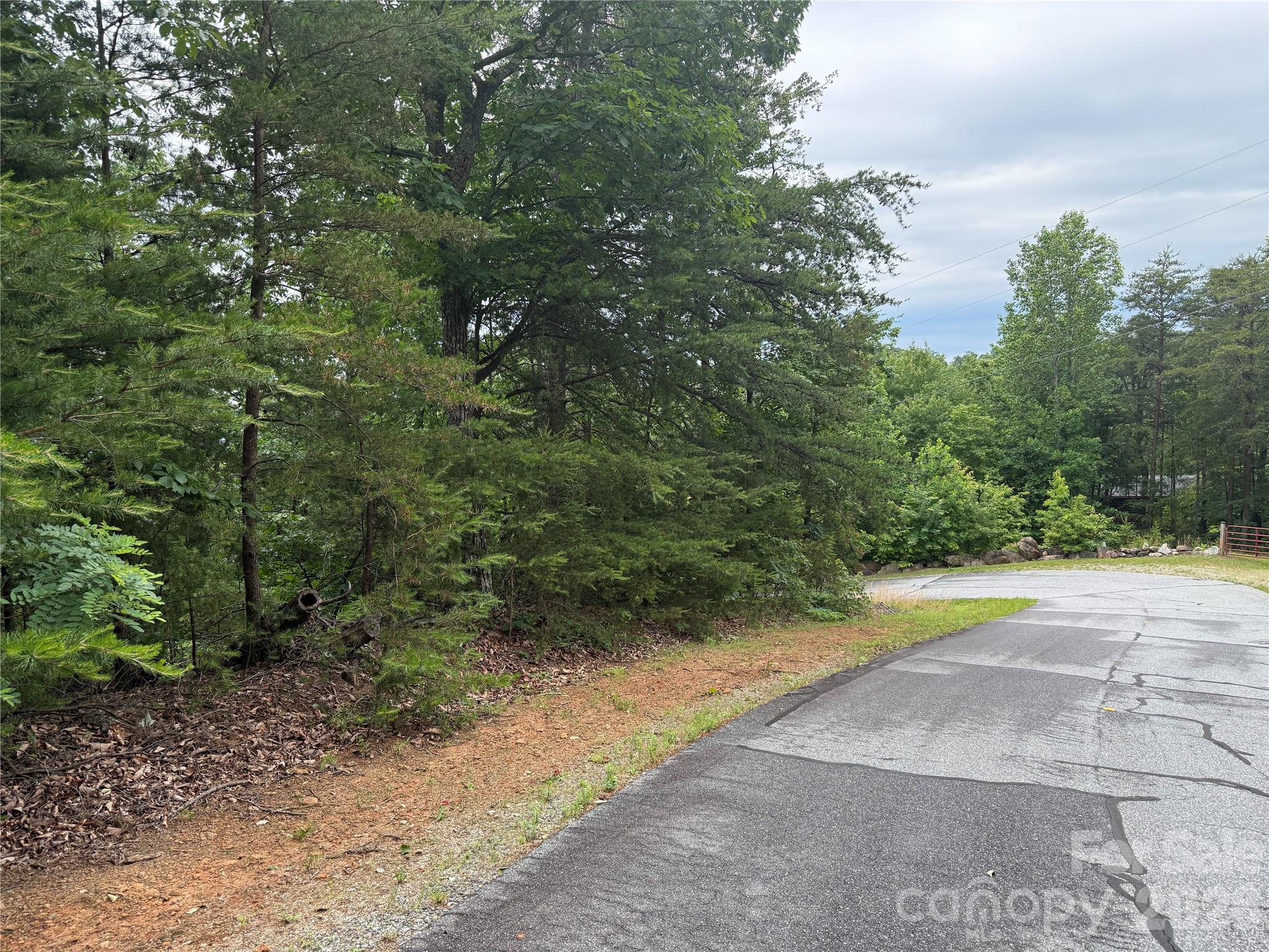 Yellowtop Mountain Estates - Land