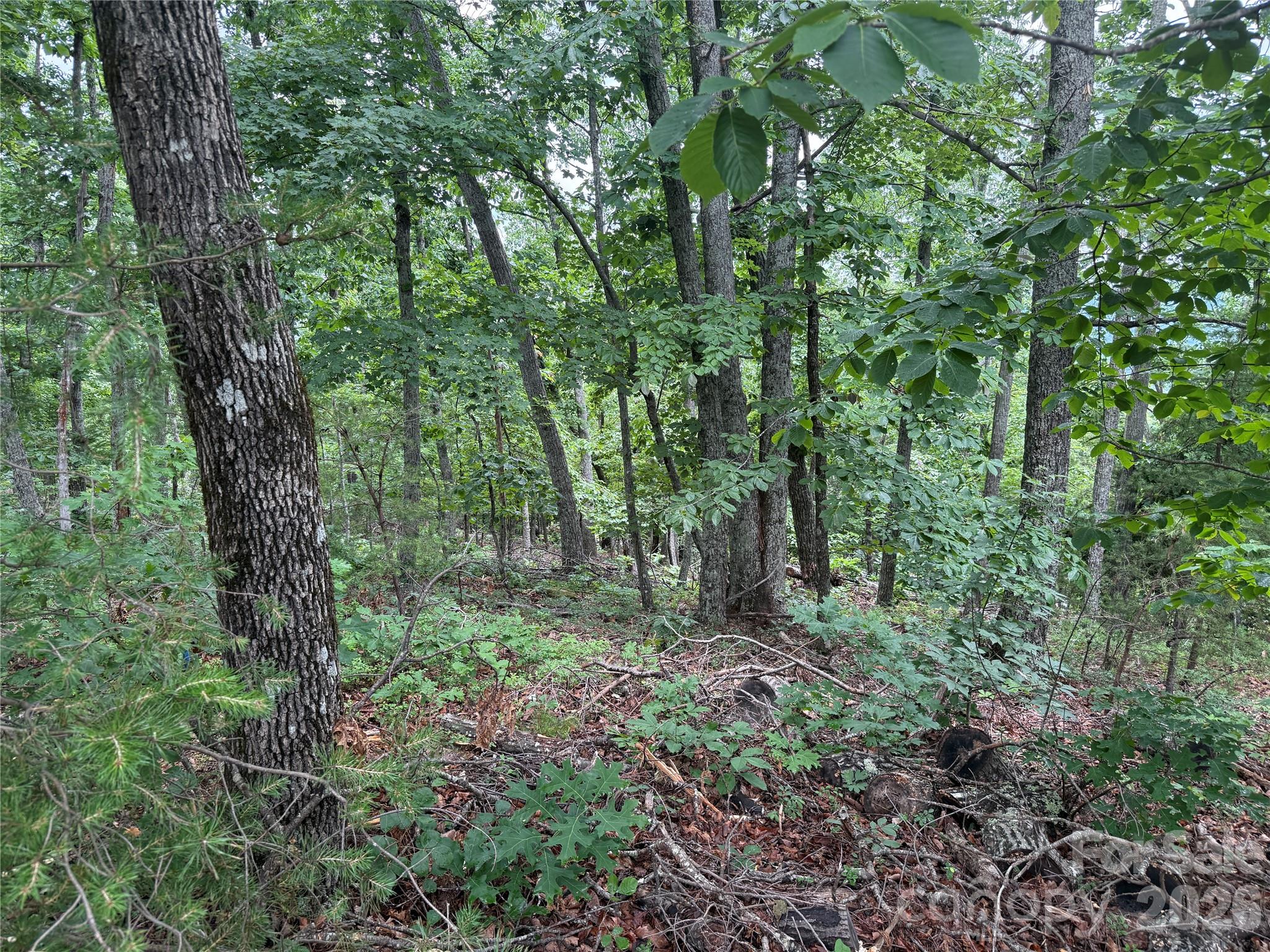 Yellowtop Mountain Estates - Land