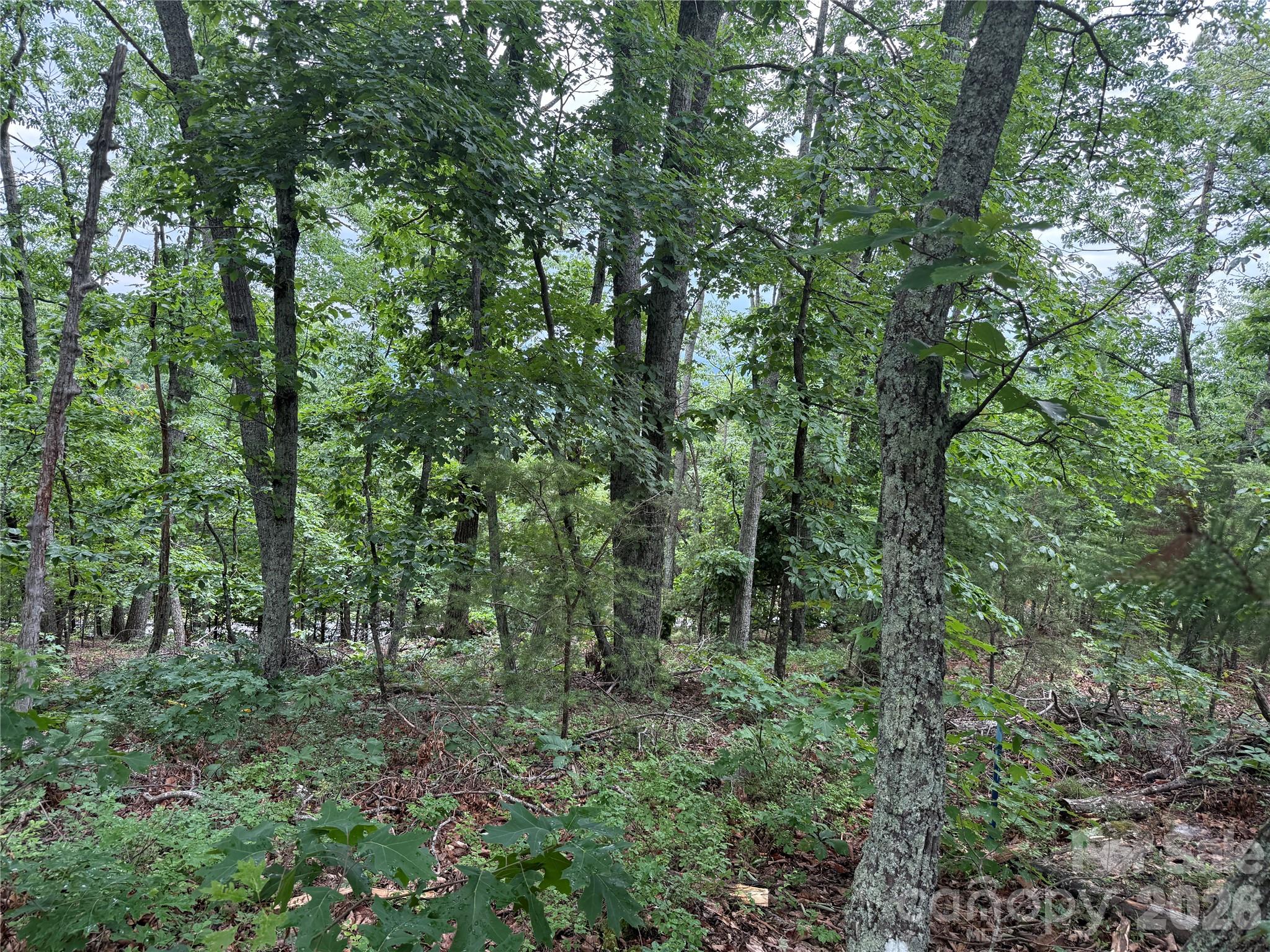 Yellowtop Mountain Estates - Land