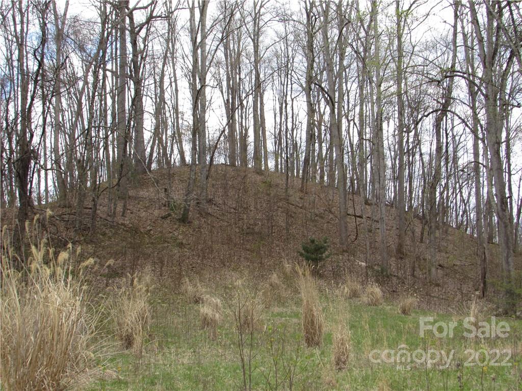 Red Wolf Run - Land