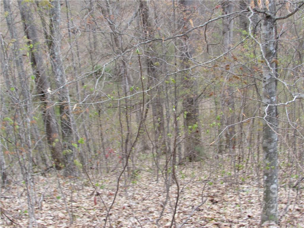 Red Wolf Run - Land