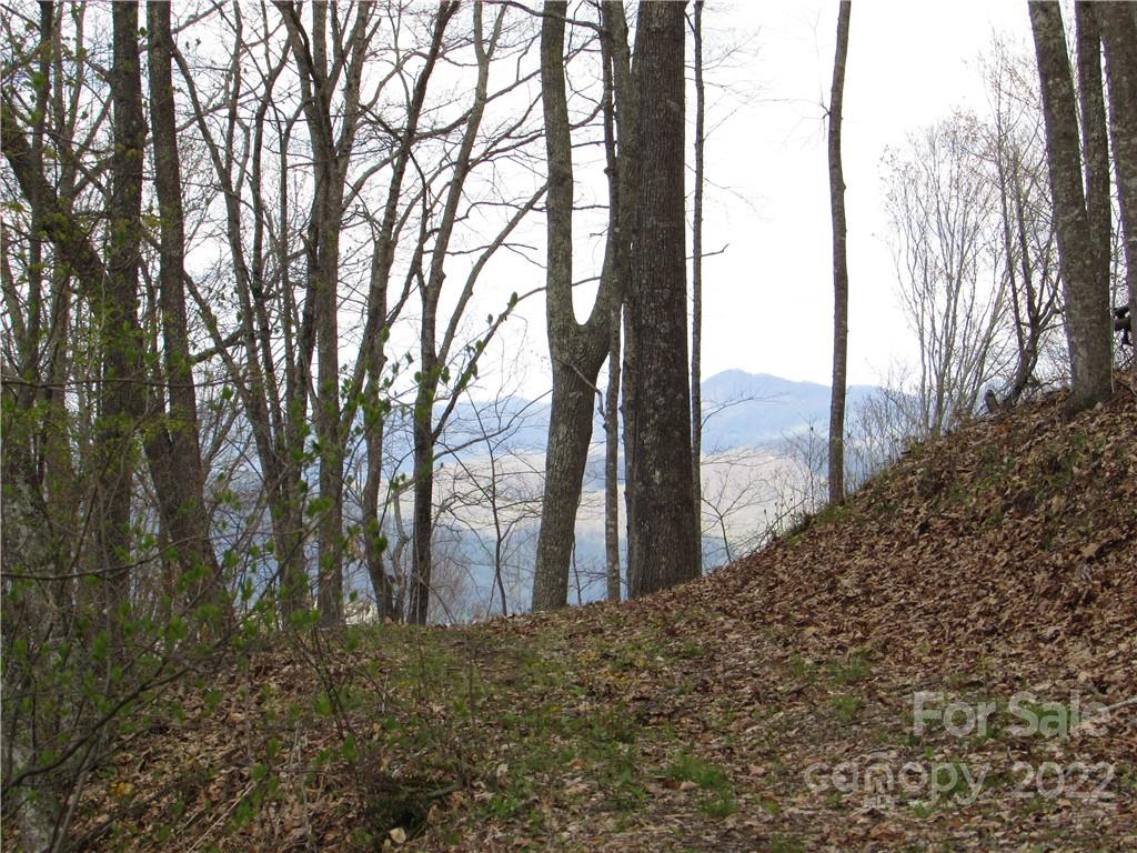 Red Wolf Run - Land