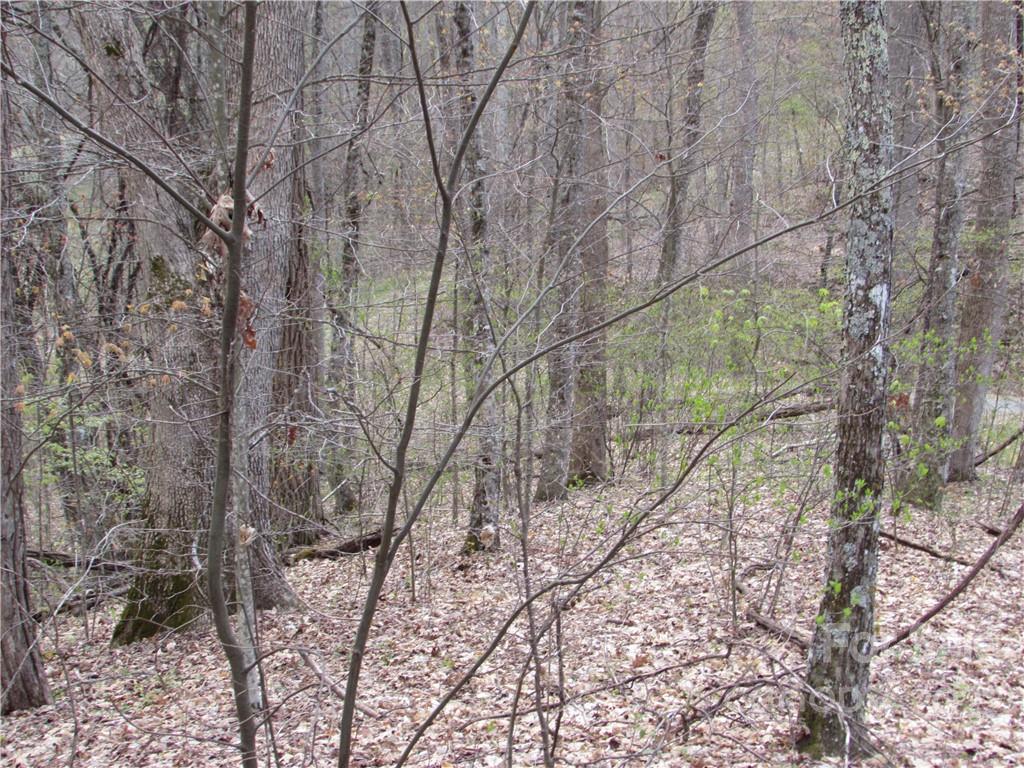 Red Wolf Run - Land