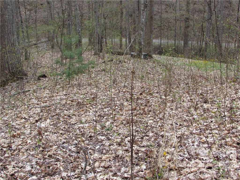 Red Wolf Run - Land