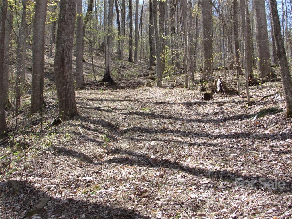 Red Wolf Run - Land