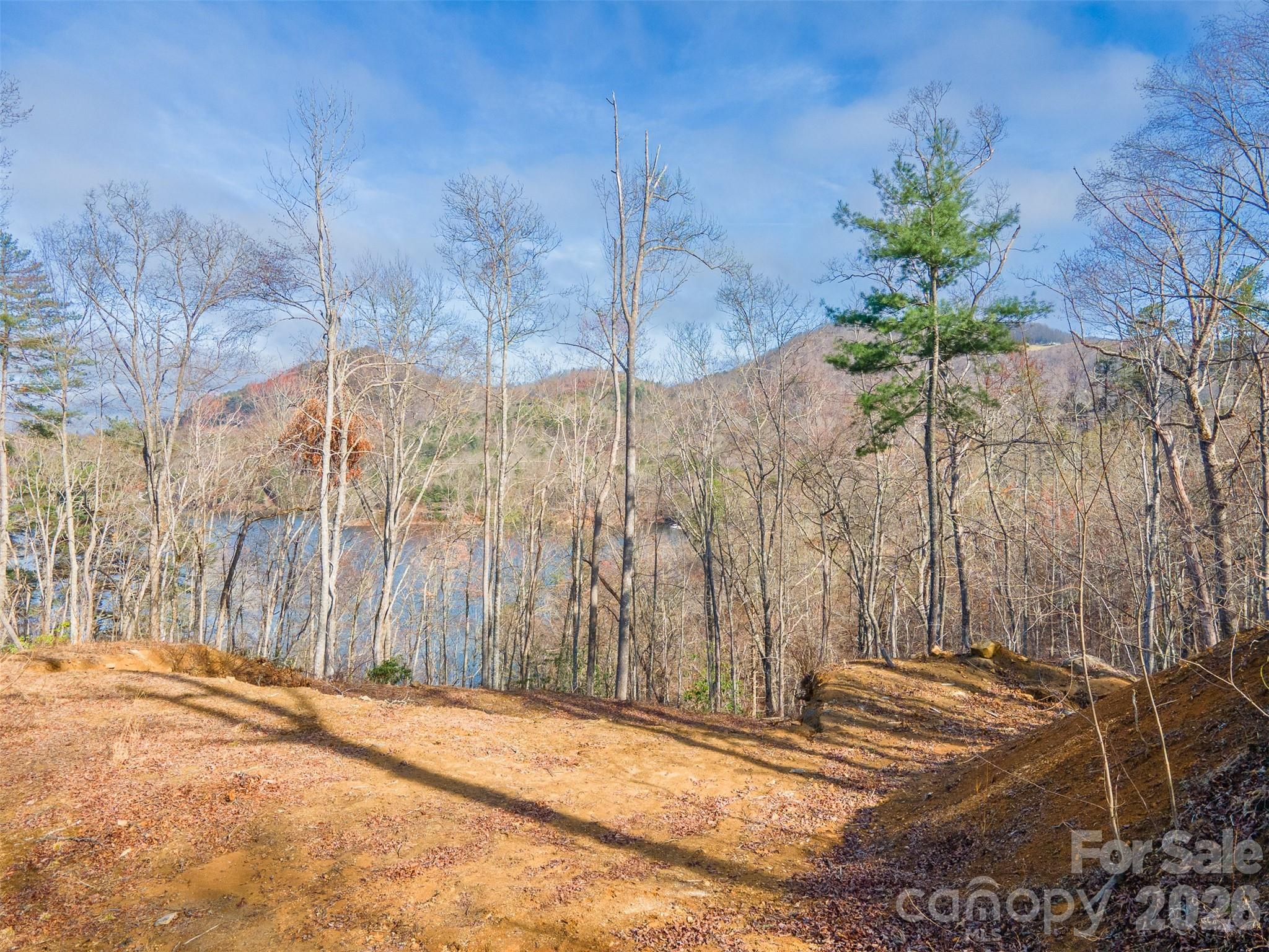 Bear Lake Reserve - Land