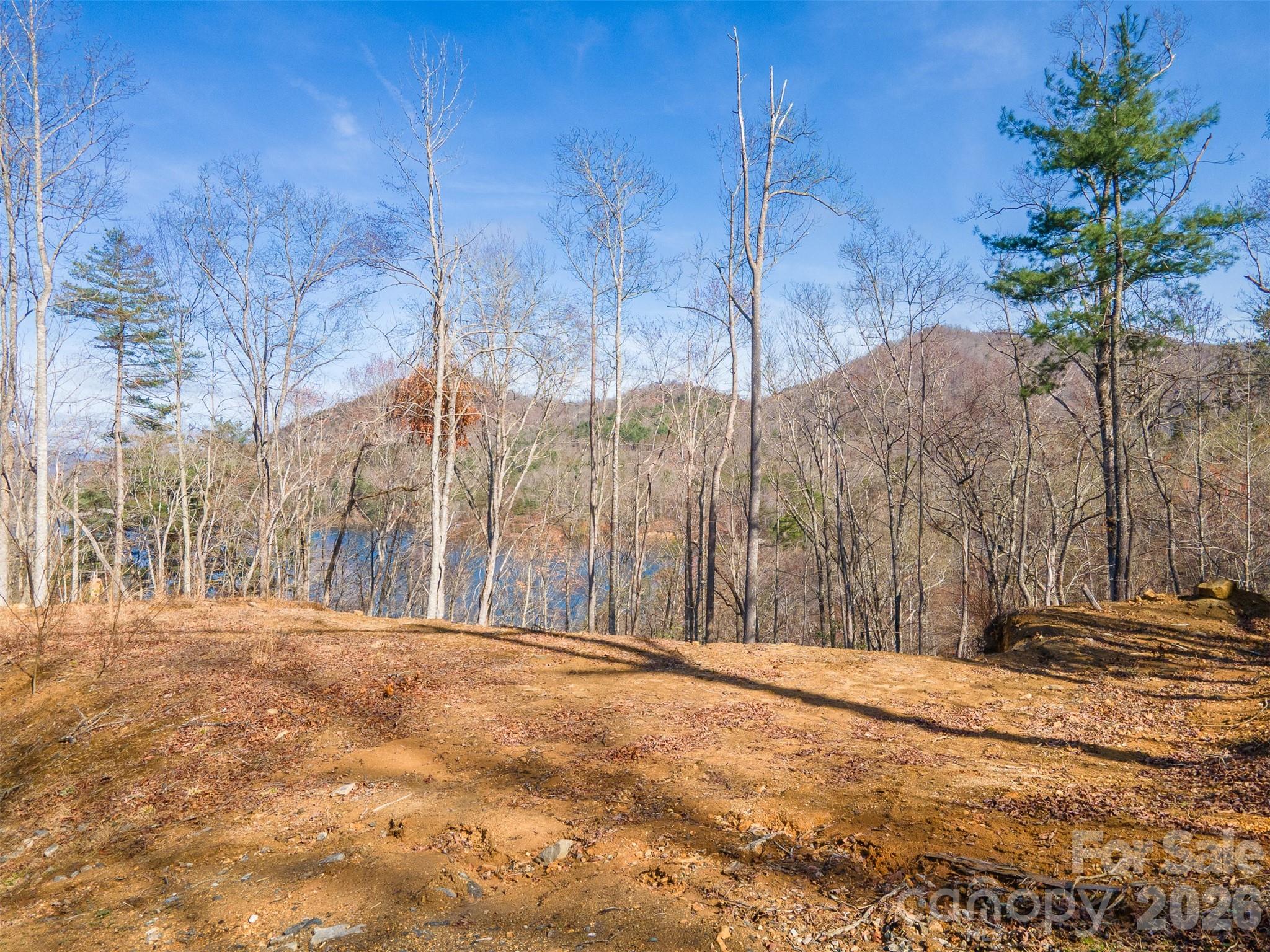 Bear Lake Reserve - Land