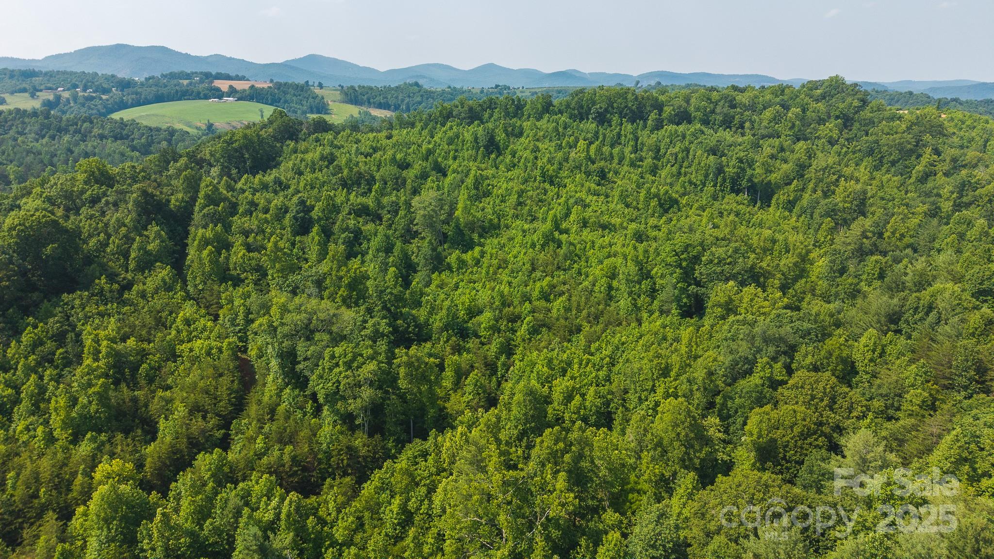 PRICE DROP!!!!Large acreage land tract for Sale in Beautiful Alexander County

+/-28 acres in Alexander County offers a mix of natural beauty and outdoor possibilities with Energy United Water available/tap fee required. Property features a creek and trails that lead to the top, where you'll find a mountain-top knoll with potential for a homesite. Whether you're looking to build a home, hunt, ride ATVs, or simply enjoy the outdoors, this land provides numerous opportunities. The location offers a quiet, scenic setting, making it a great place to create a secluded retreat. Don’t miss the chance to own this unique piece of land! $199900