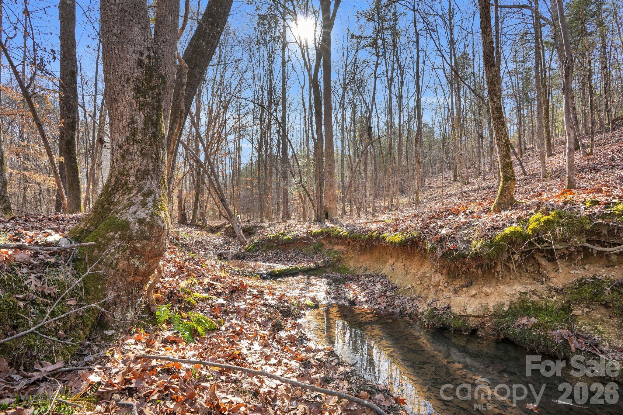 Outstanding opportunity to own a large homestead & recreational property! Tucked back in a quiet country setting is a turnkey 65+ acres with mature mixed timber, gorgeous creek bottoms, and well maintained trails systems. This is a highly desirable area; Blackstock is known for its rich soils, easy access to I-77, and abundant wildlife. Enjoy the rolling creeks, long range views, and the outdoor recreational activities with your family and friends! If you are looking for a tranquil homestead tucked back in the woods, this is the piece of land for you! With mature pine and hardwoods throughout, this property is aesthetically pleasing and enjoyable. There is Pine production throughout the land with two beautiful rolling creek through the property. These creek bottoms are abundant with many species of oaks and other hardwoods. The habitat along with the food sources makes this an excellent sporting and hunting tract. The elaborate trail system has been strategically created for hunting and traveling egress. The trails are also maintained for hiking and trail riding. The trails lead to multiple 'hunt ready' ladder stands and a large box stand that sits over a food plot. The ladder stands and box stand convey with the property. The creek bottoms are open for easy access for hunting and hiking along the creek; there is clear access to all of the property. Conveniently located in Chester County; about 10 min away from I-77 for easy travel; About 45 minutes away from Charlotte 35 min to Fort Mill,  25 to Rock Hill, and easy access to York. The uses of this land are endless; Pursue building your dream home, use this land for homestead, agricultural activities, micro-farming, recreational activities, and hunting. The size of this land with pine production also allows the opportunity to apply for deferred property taxes through Chester County tax assessors office. This is a turnkey, hunt-ready property that is abundant in deer and other small game. Enjoy the great outdoors and build memories with family and friends!