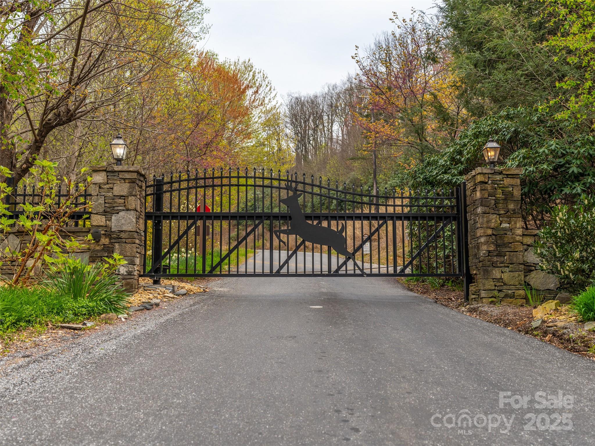 Gateway Mountain - Land