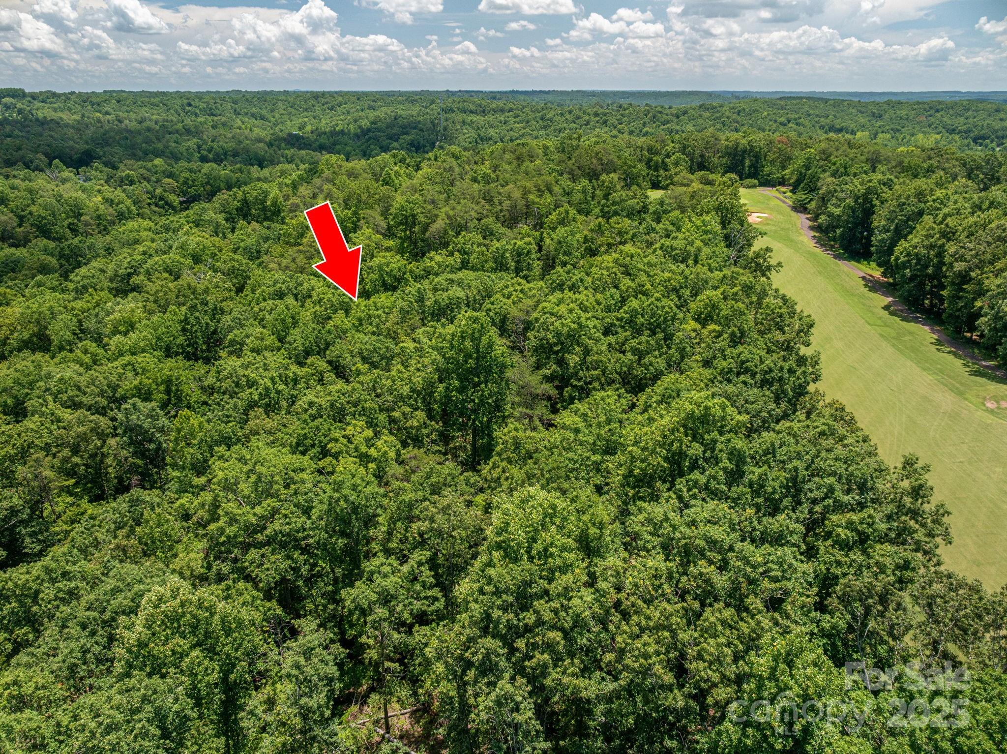 Cleghorn Plantation - Land