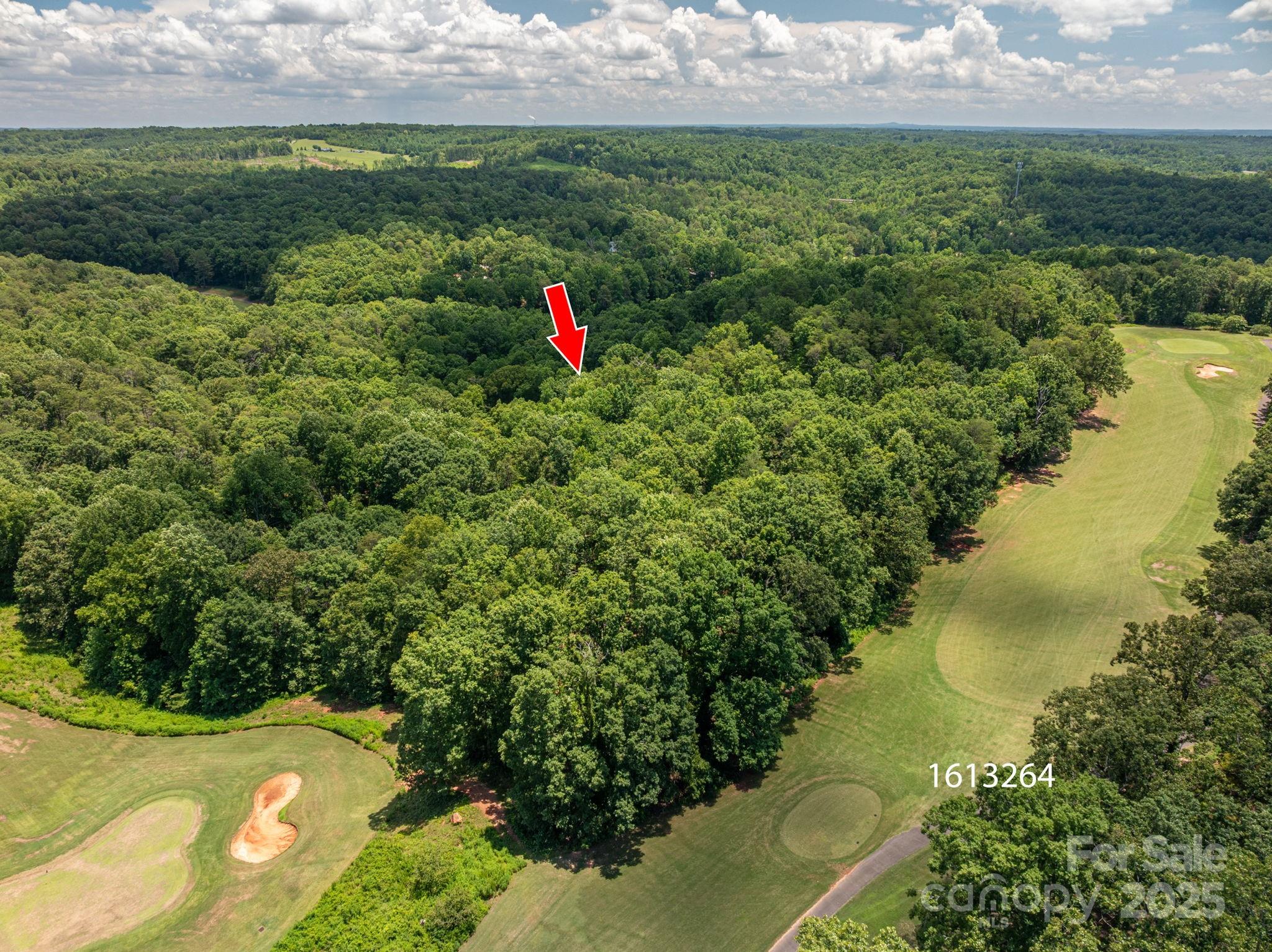 Cleghorn Plantation - Land