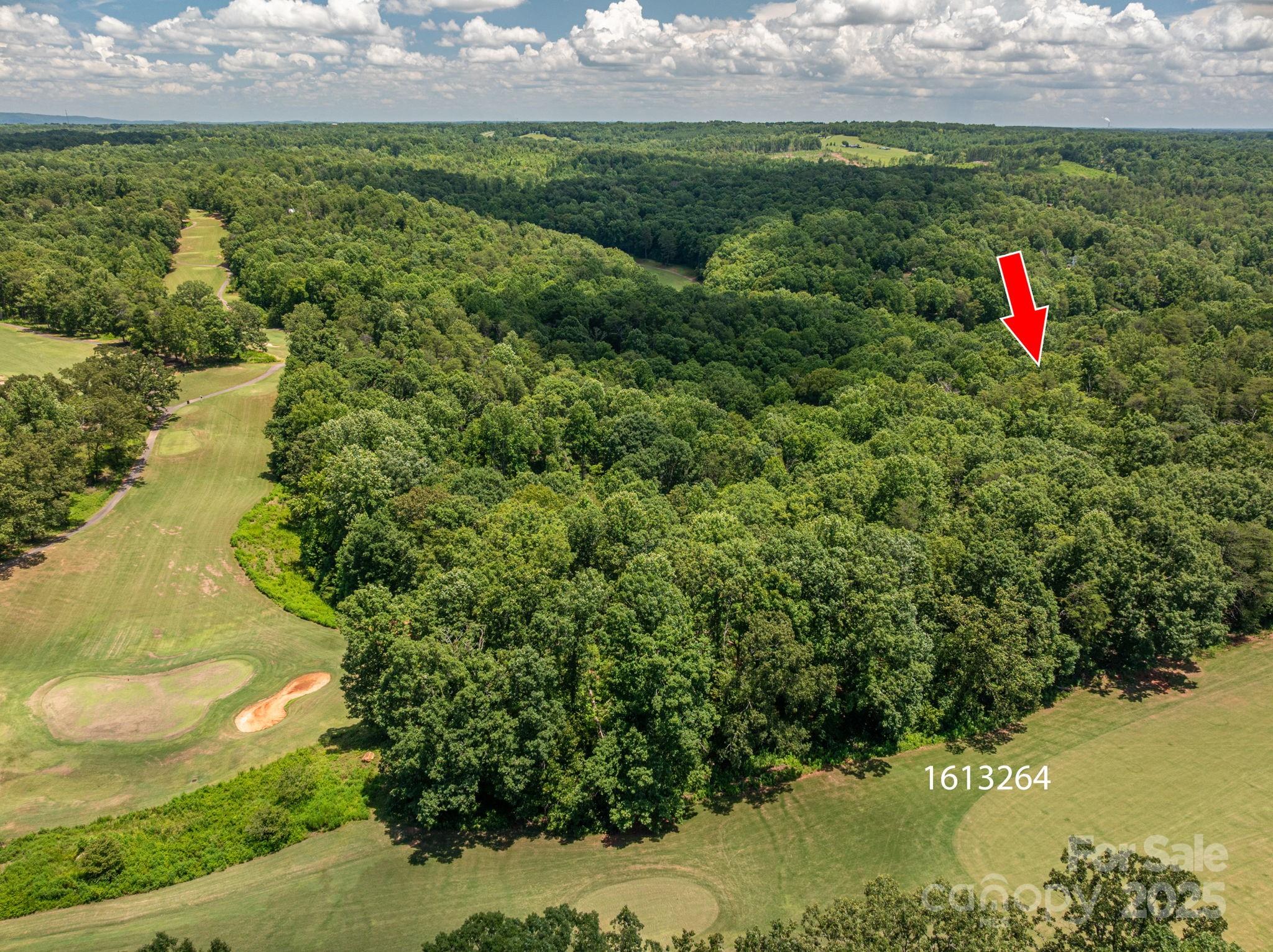 Cleghorn Plantation - Land