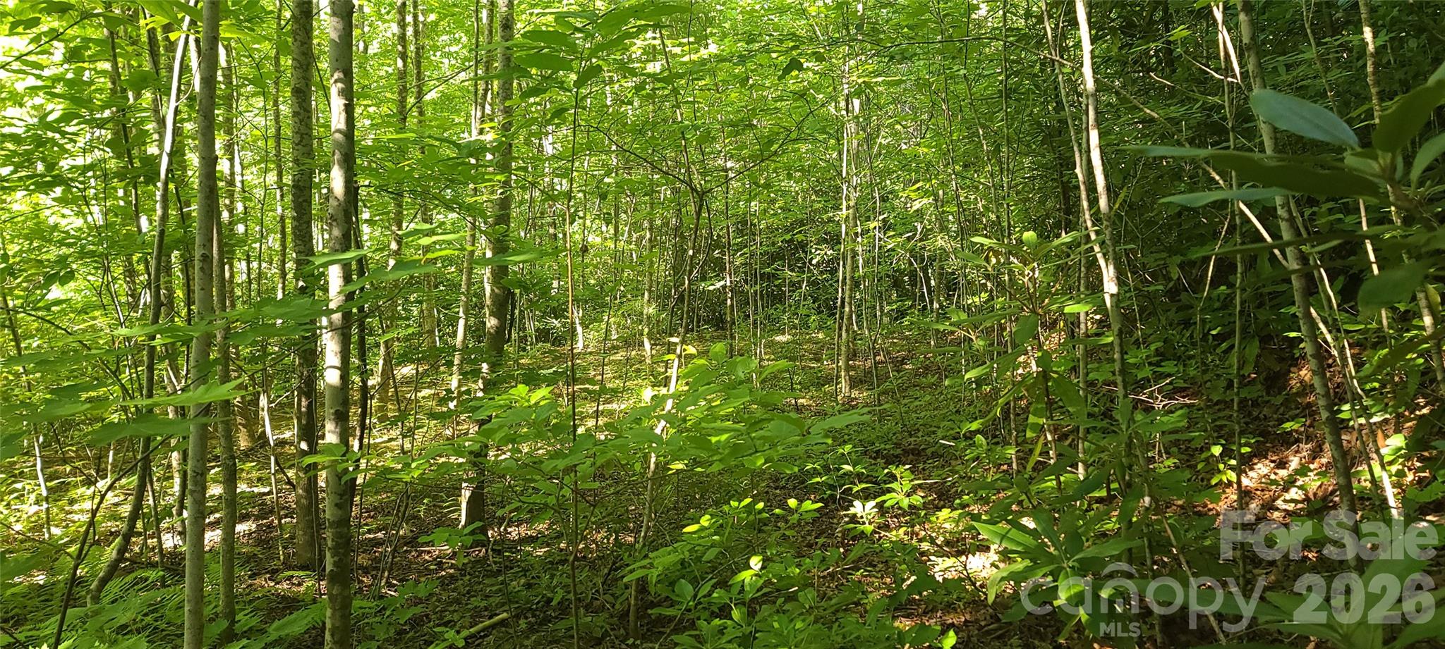 Private 1-acre wooded lot conveniently located in Old Fort. The perfect setting for a primary residence, mountain getaway, or vacation retreat, offering a peaceful natural setting where you can relax and enjoy the sounds of the nearby creek and singing birds. Located just 15 minutes from downtown Old Fort and less than 30 minutes from Black Mountain, you'll enjoy easy access to the Fonta Flora Cooper Ridge Trail System, Pisgah National Forest, and the historic Andrews Geyser. Outdoor enthusiasts will appreciate the area's renowned mountain biking, hiking, and endless recreation opportunities, along with local coffee shops, breweries, and all that Old Fort has to offer. Build your escape and experience the best of mountain living with privacy, convenience, and adventure right at your doorstep.