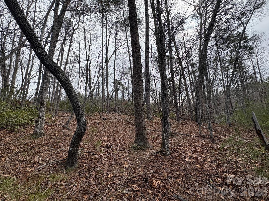 Forest Heights - Land
