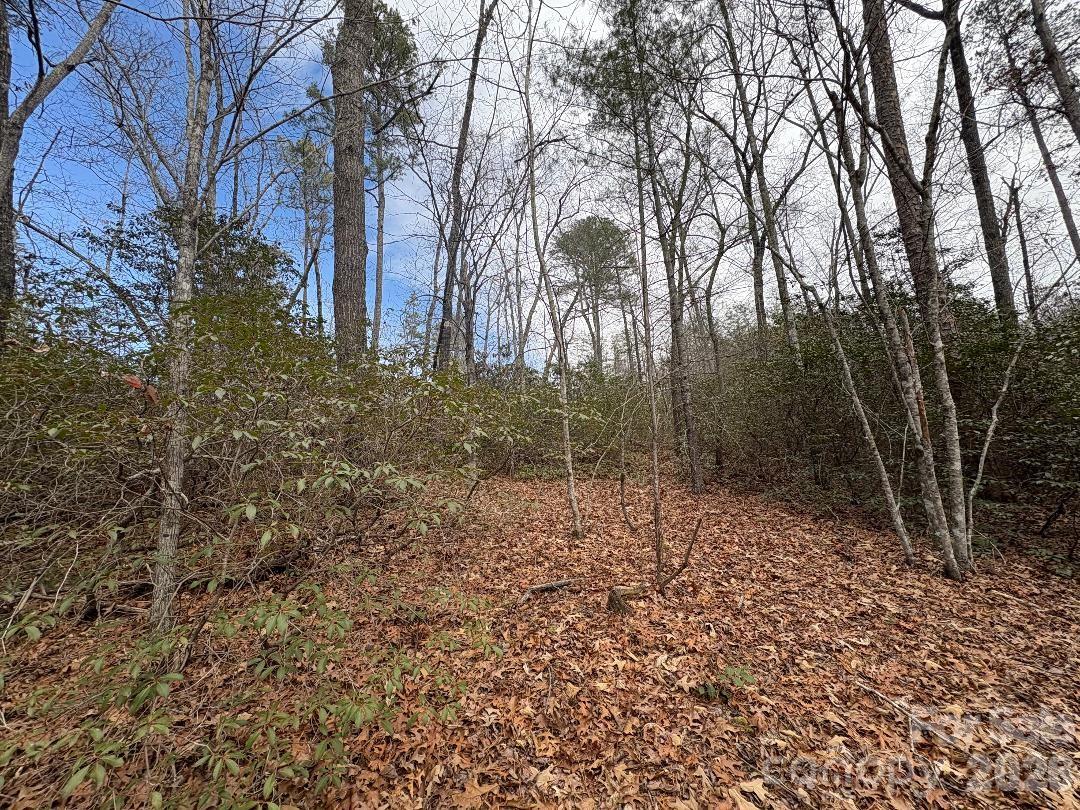 Forest Heights - Land
