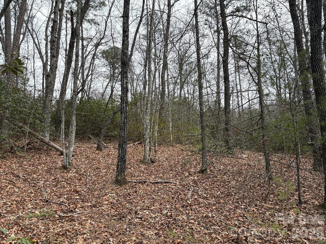 Forest Heights - Land