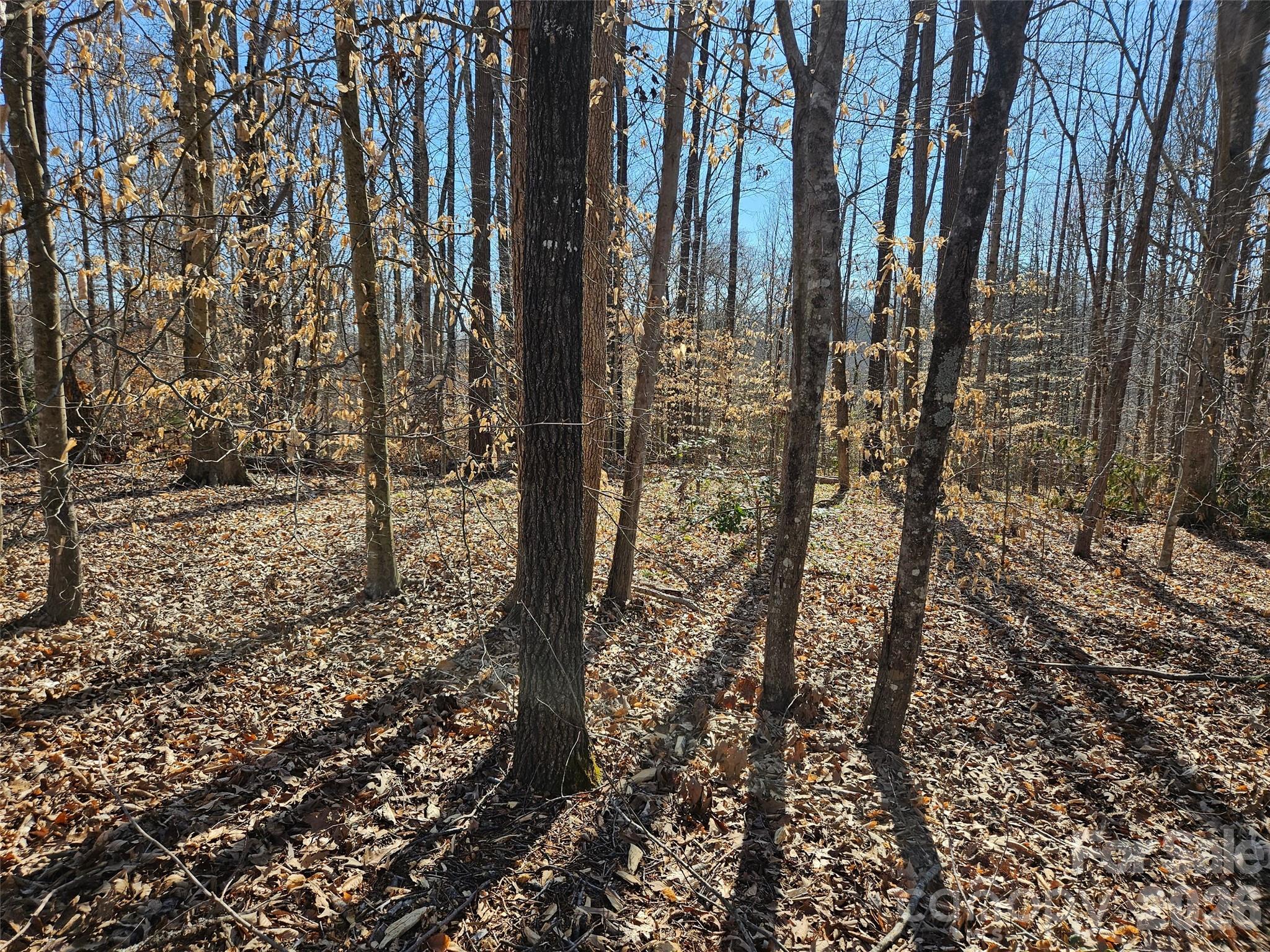 Check out beautiful Lot 37 in the very popular Ruther Towne subdivision, close to all that Rutherfordton, NC has to offer with no HOA dues and light restrictions. Walk the land and easily visualize your primary home being there or size it up for a 2nd home to unwind and relax the upper scale country way. Also listed for sale with adjoining Lot # 35 is also listed with lot 37 on MLS# 4232985 to maximize privacy and land to roam and play. Call today!