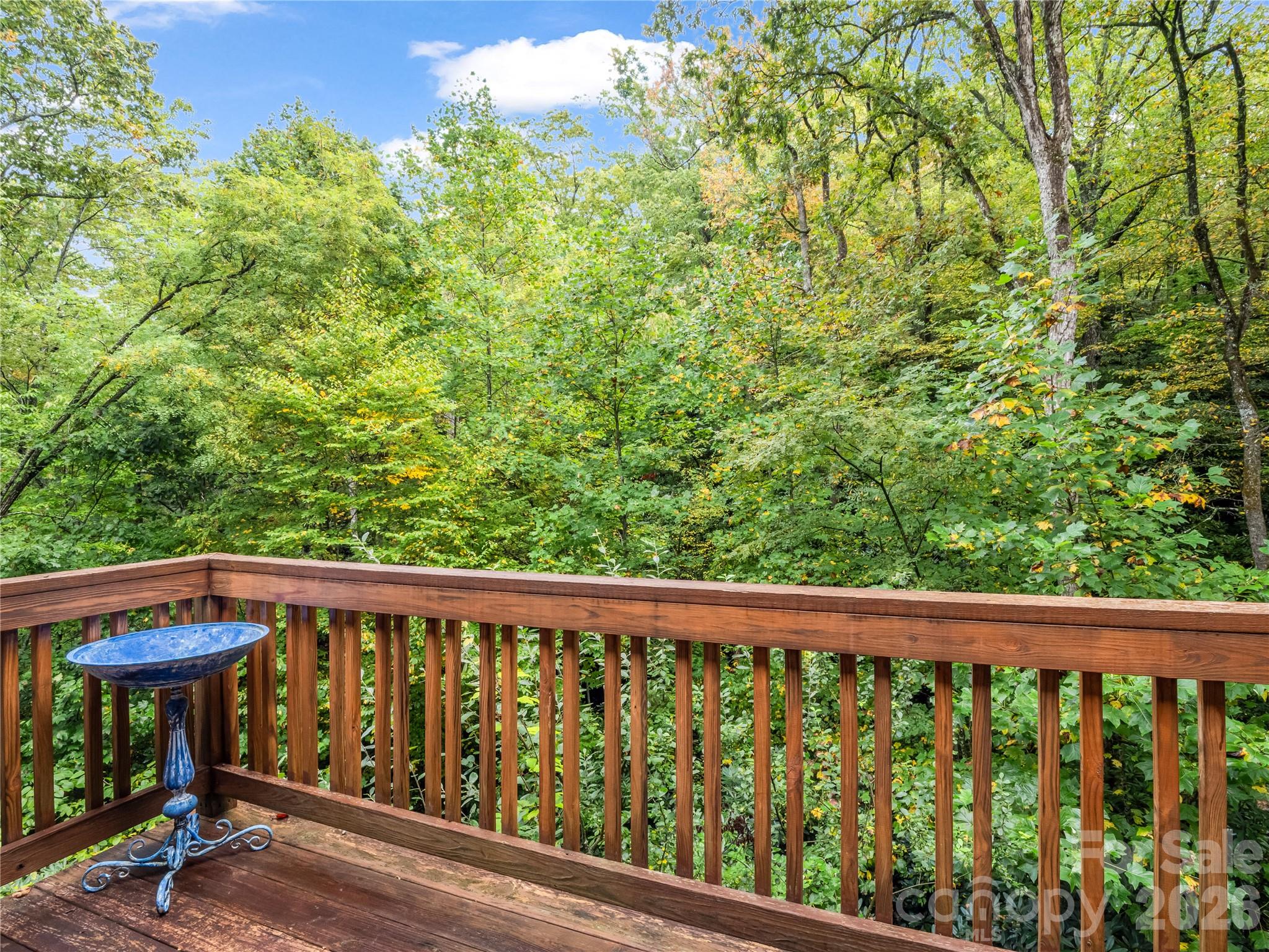 Davis Mountain Views - Residential