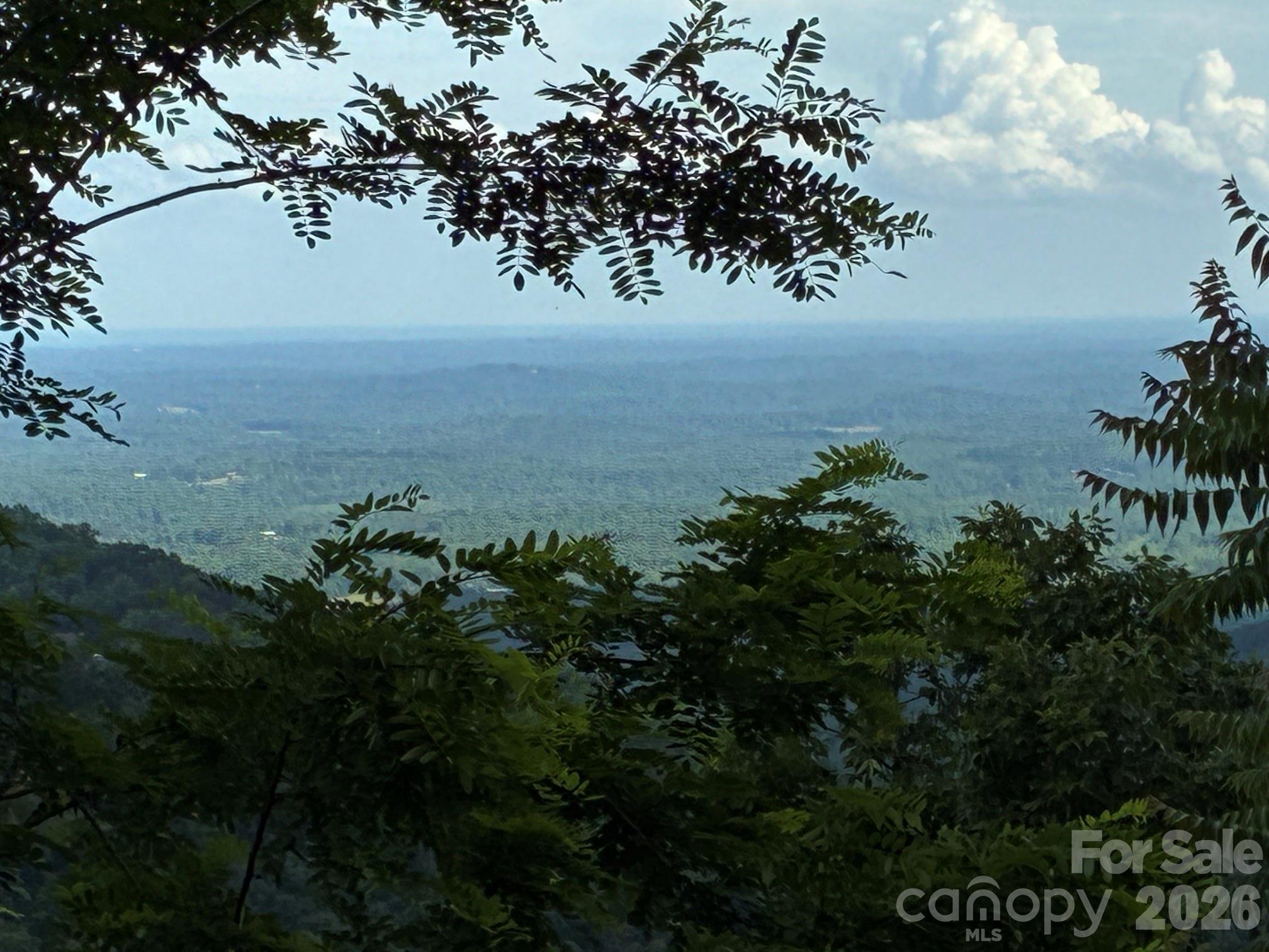 Experience stunning views at an unbeatable price! This 1.73 acre homesite offers the ideal setting for anyone dreaming of daily sunsets and uninterrupted natural beauty. Located in the gated Great Sky subdivision (formerly Queens Gap), the property features long-range mountain views, underground utilities, and public water access. This lot stands out as a truly exceptional find. If you’ve been searching for the perfect place to build your mountain retreat, this is the one you don’t want to miss.