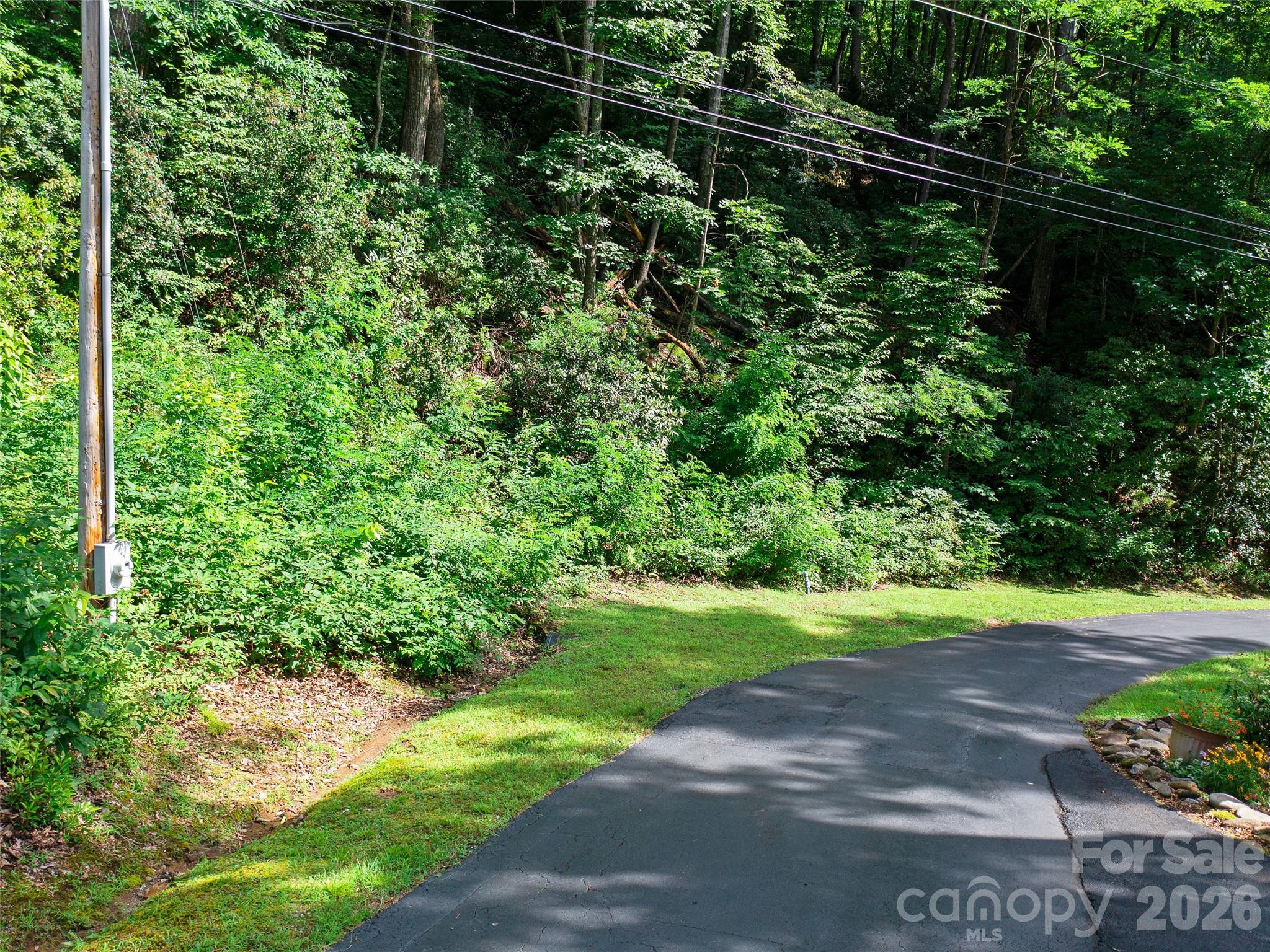 Mount Mitchell Lands West - Land