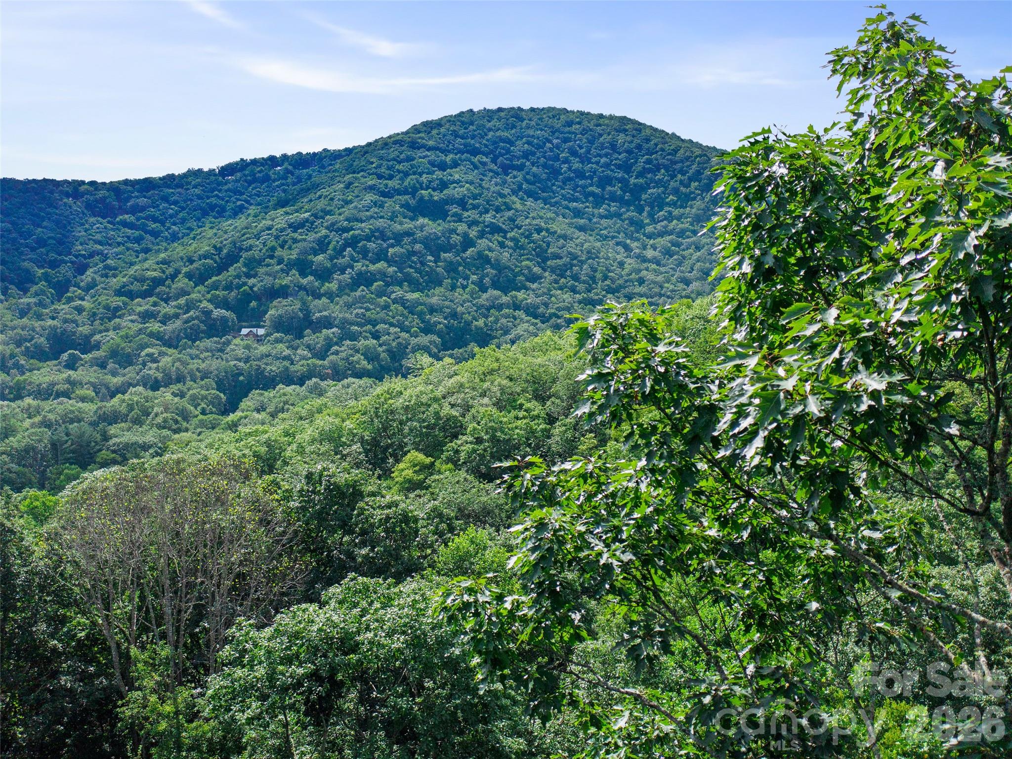 Mount Mitchell Lands West - Land