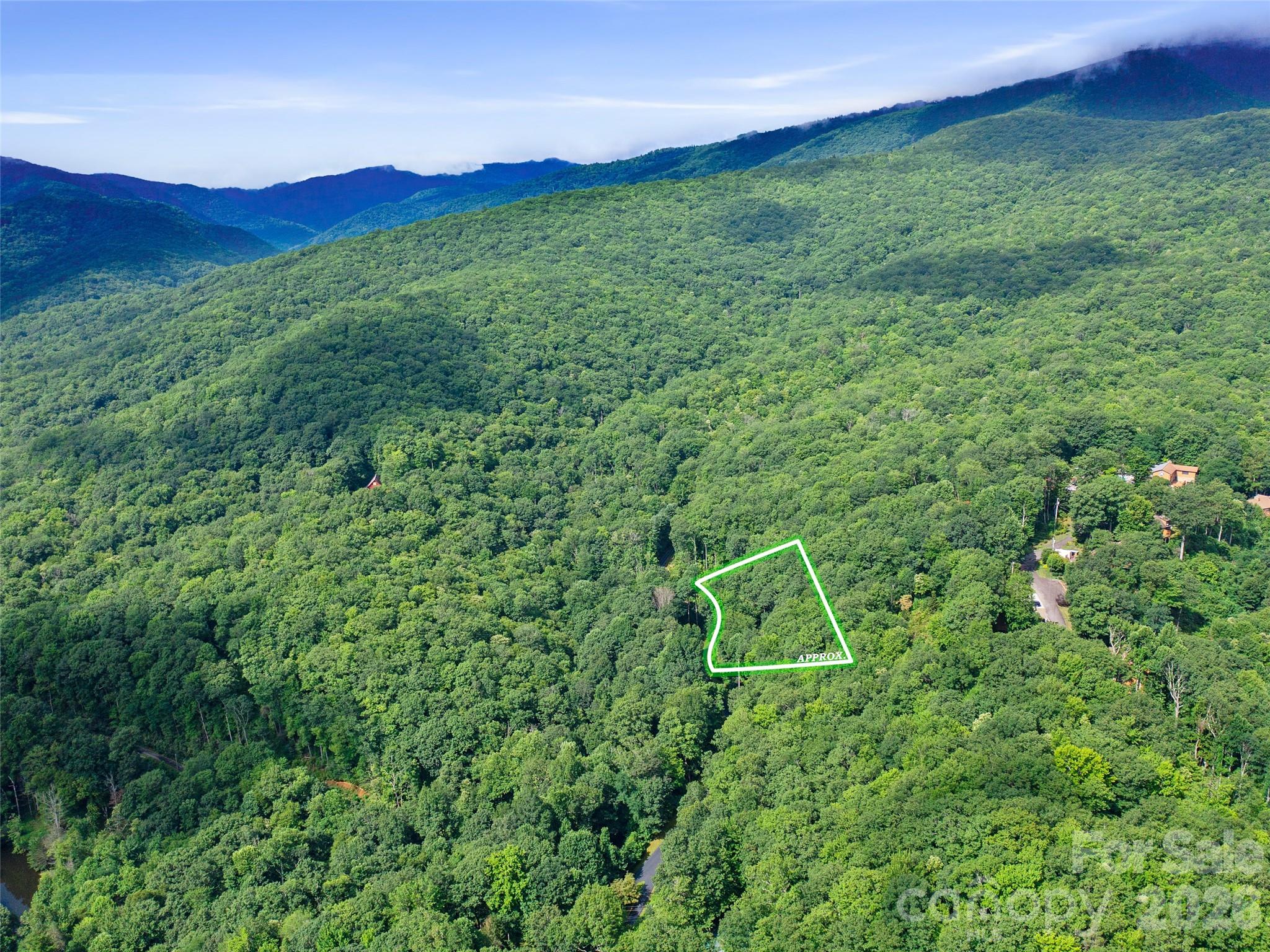 Mount Mitchell Lands West - Land