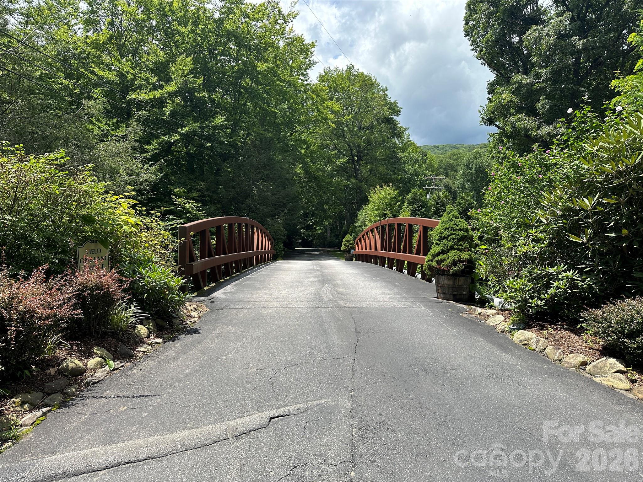 Mount Mitchell Lands West - Land