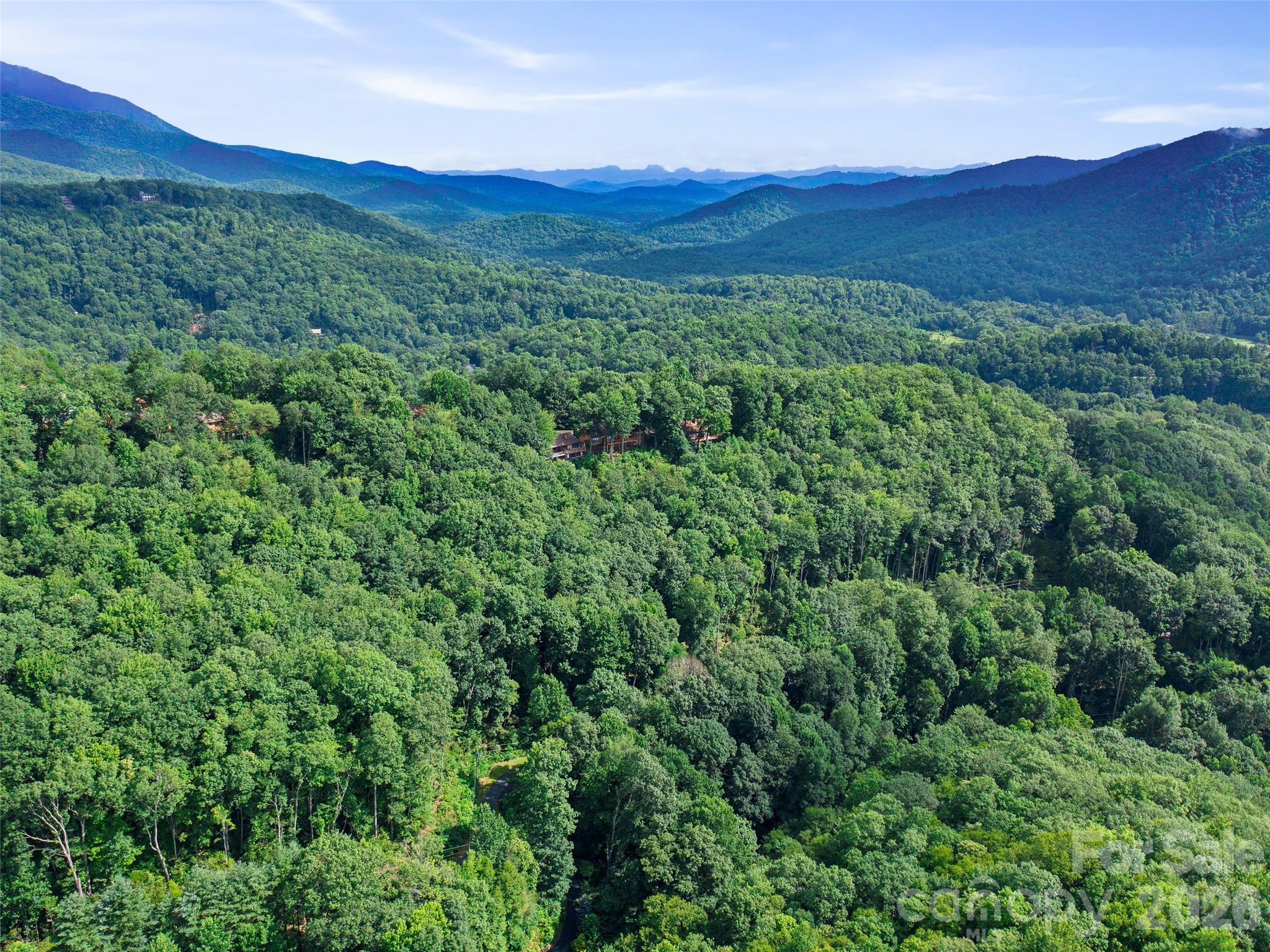 Mount Mitchell Lands West - Land