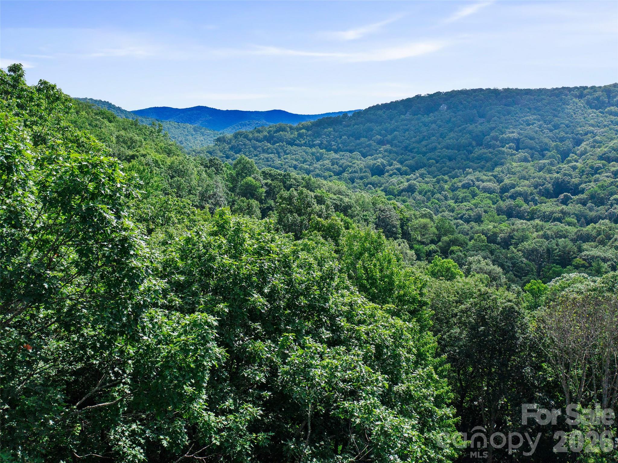 Mount Mitchell Lands West - Land