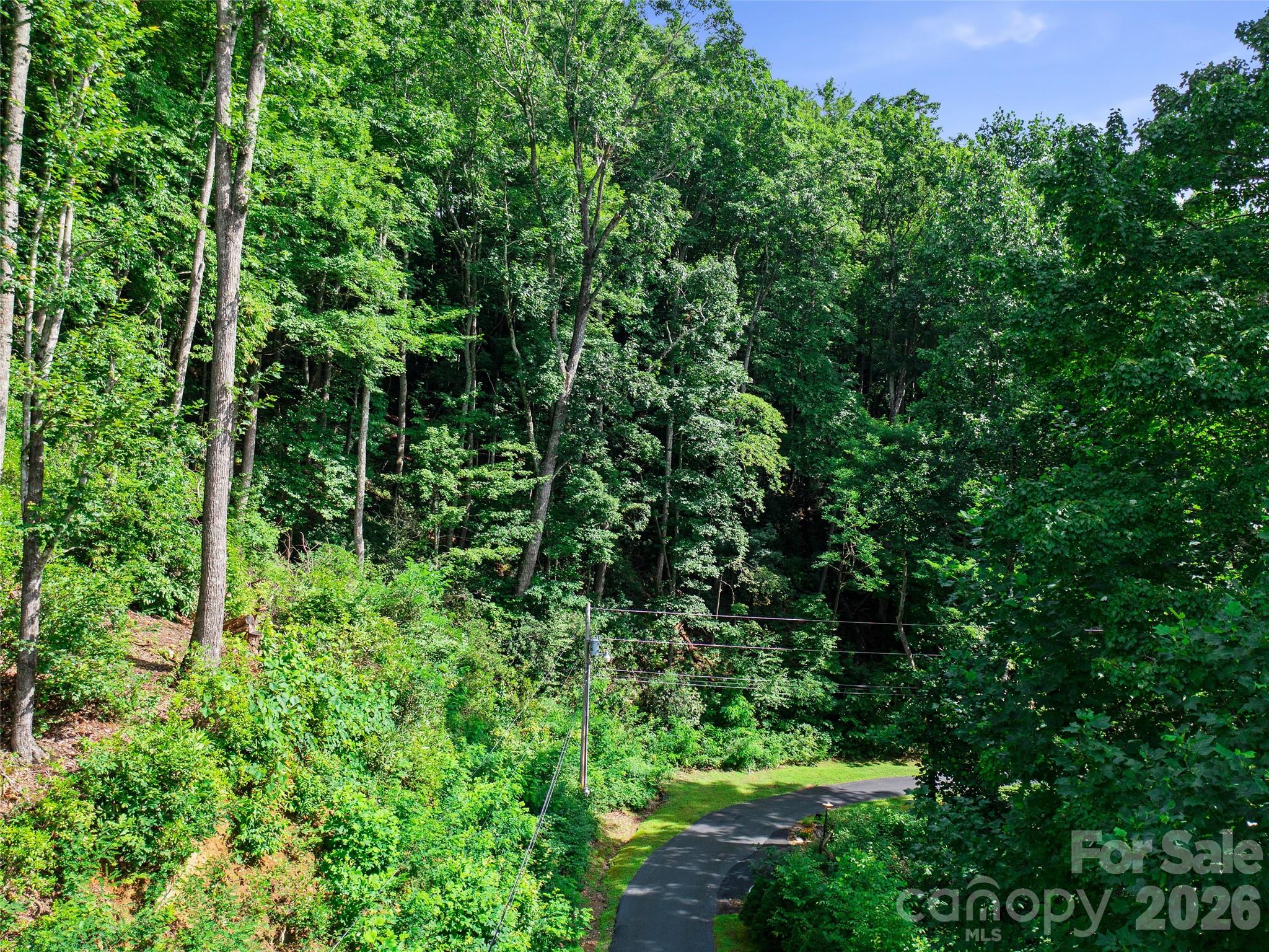 Mount Mitchell Lands West - Land